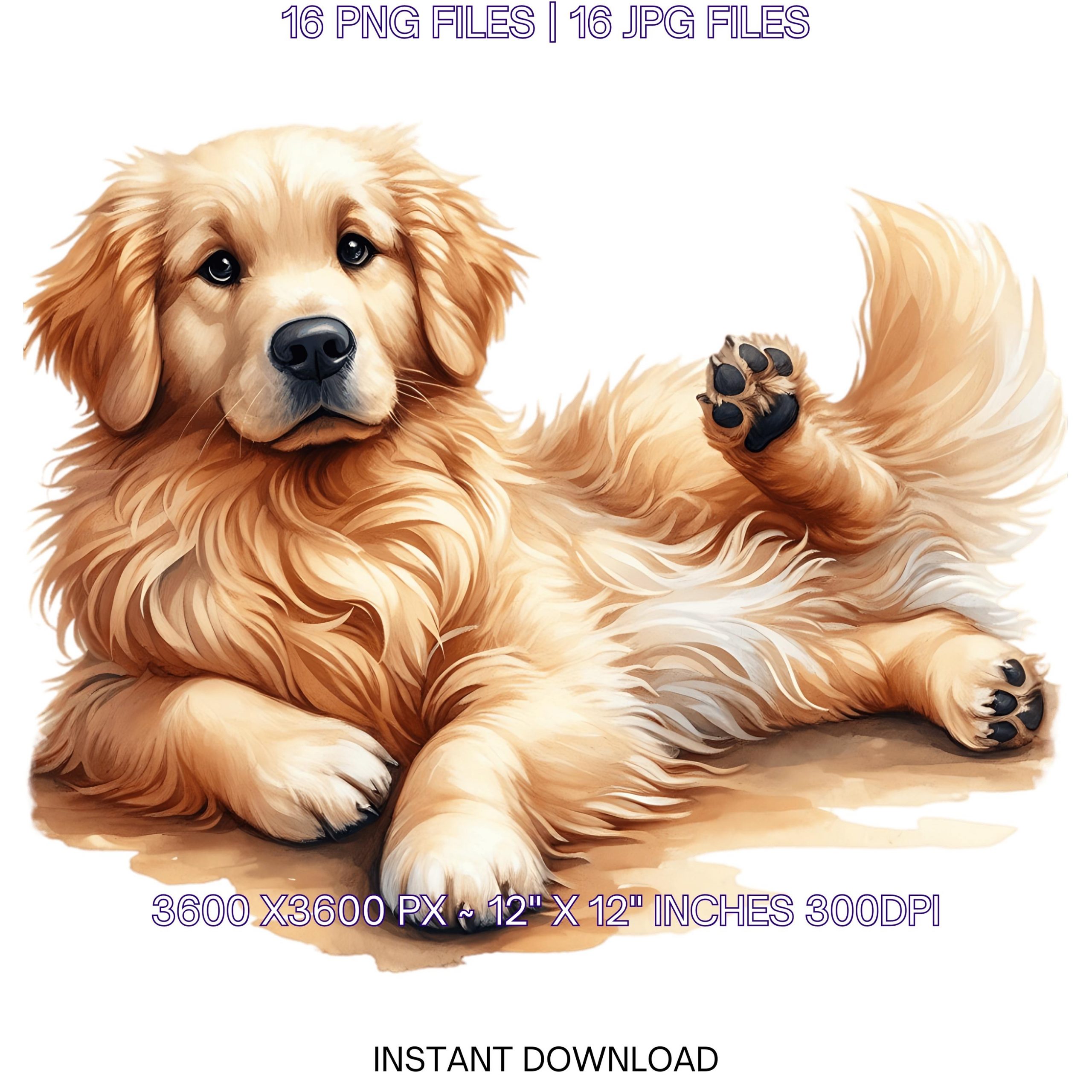 Golden Retriever Dog Clipart | Watercolor Golden Retriever 16 PNG – 16 JPG | Dog Art for Scrapbooking, Junk, Sublimation | Commercial Use – Instant Digital Download