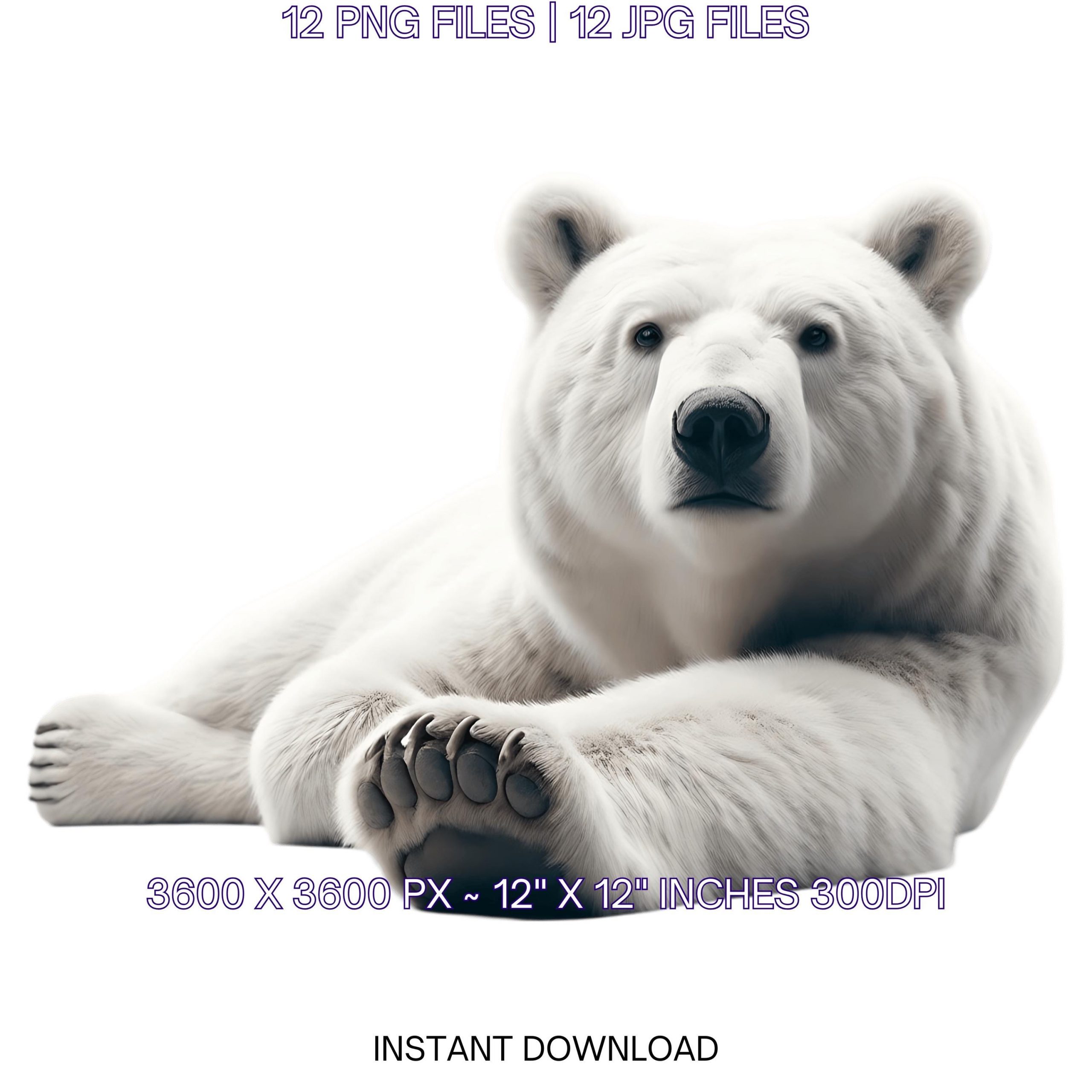 11 Polar Bear PNG Clipart Transparent | Watercolor Artic White Bear for Card Making, Scrapbooking, Junk Journaling, Sublimation Commercial – Instant Digital Download