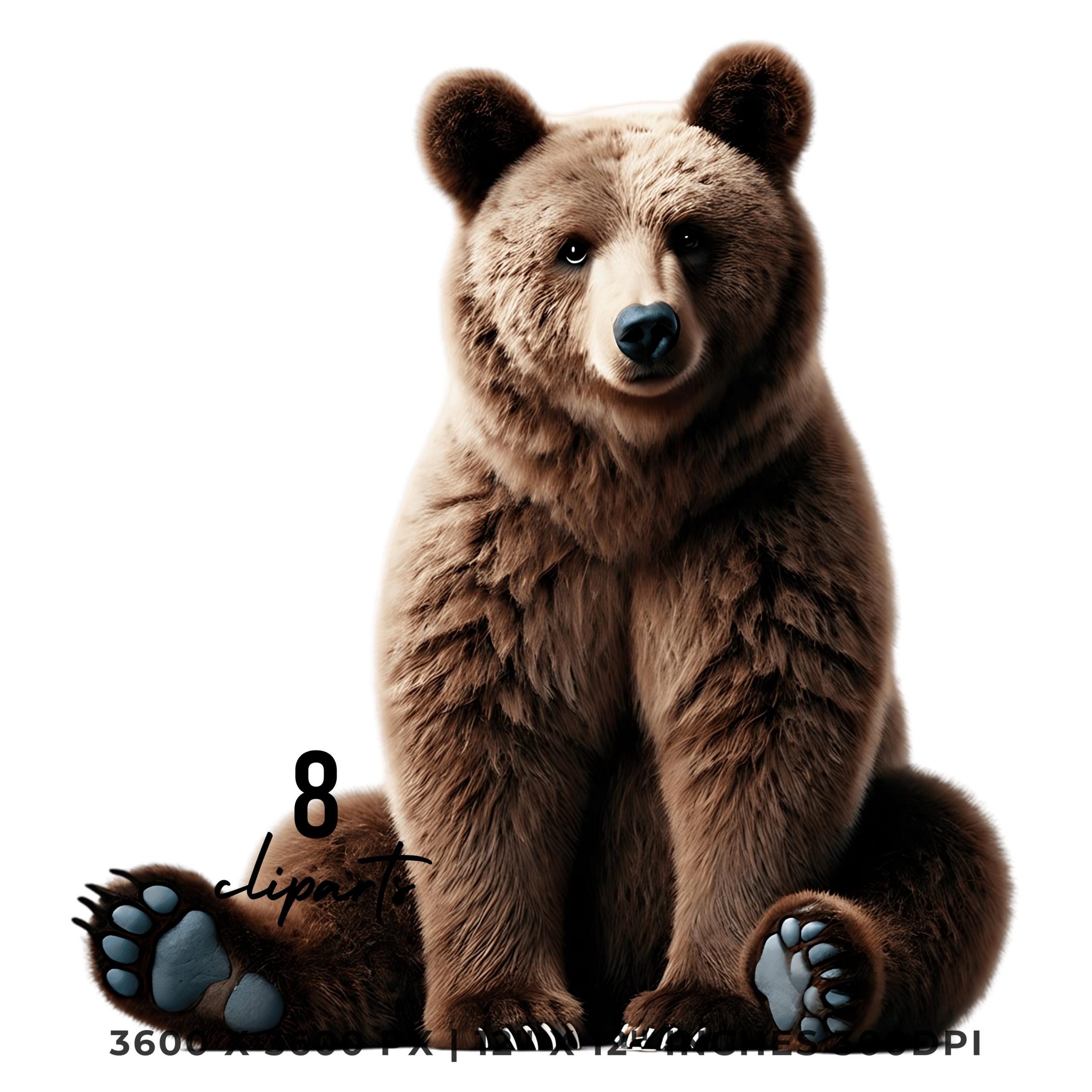 8 Brown Bear PNG Clipart Transparent | Watercolor Wild Bear for Card Making, Scrapbooking, Junk Journaling, Sublimation | Commercial Use – Instant Digital Download