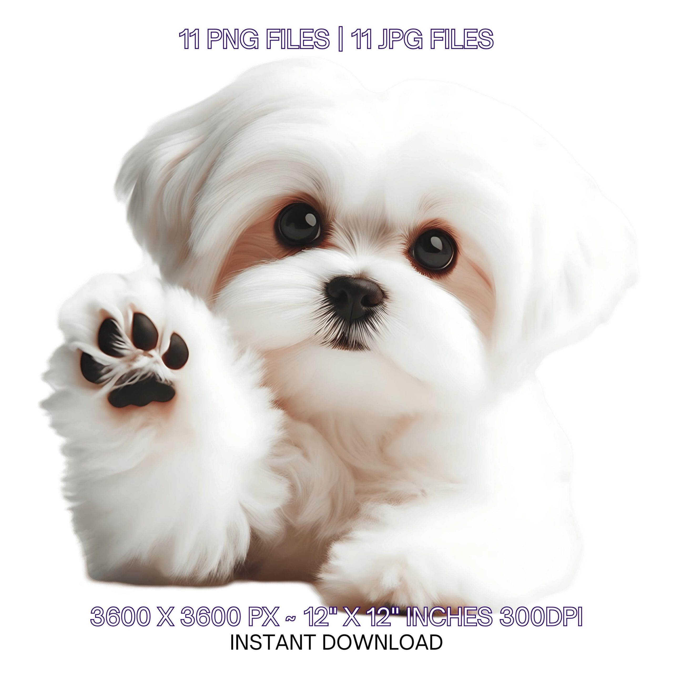 11 Maltese Puppy Dog PNG Clipart | Watercolor Baby Maltese Dog for Card Making, Scrapbooking, Junk Journaling, Sublimation | Commercial Use – Instant Digital Download