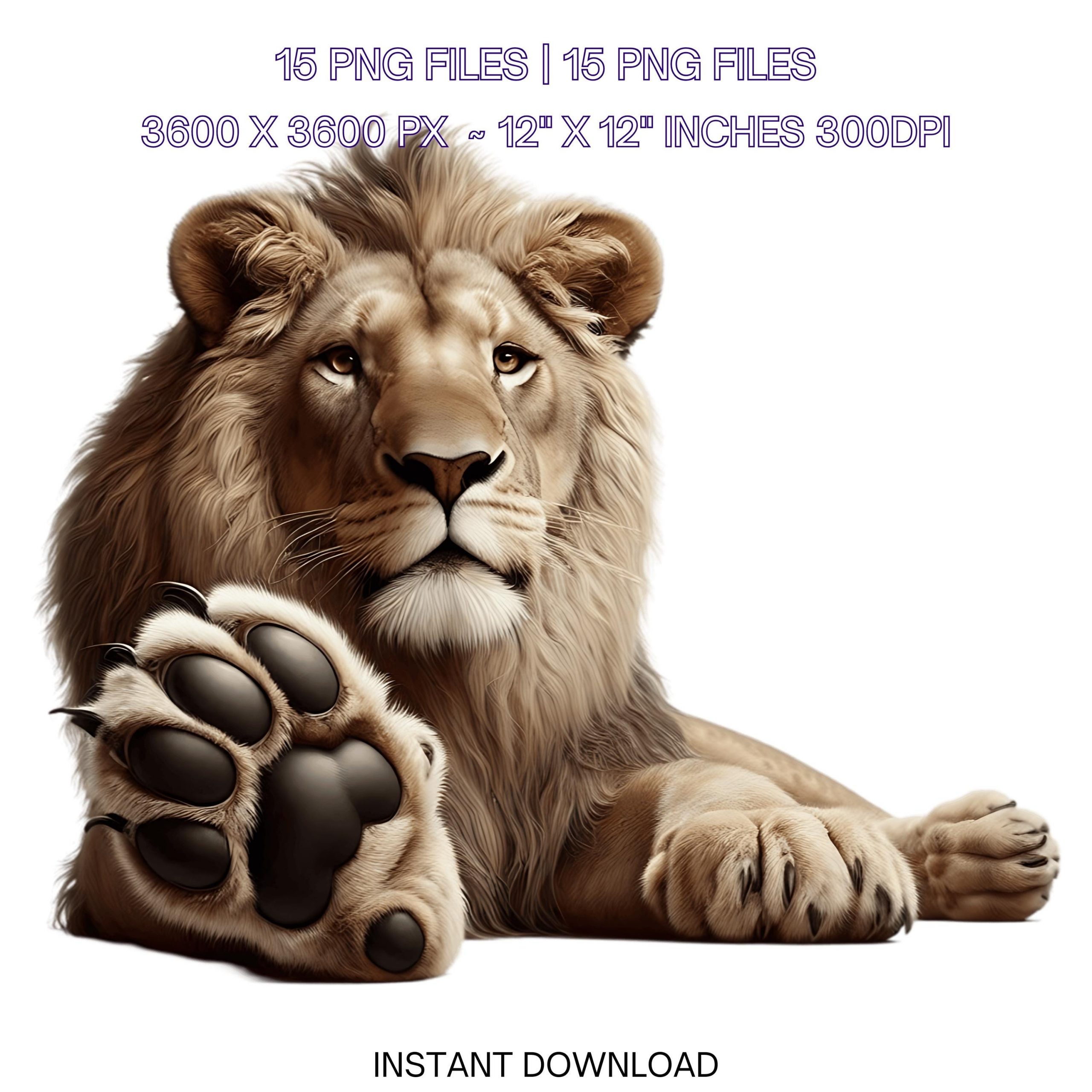 15 Lion PNG Clipart Transparent | Watercolor Wild Animal | Lion for Sublimation, Card Making, Scrapbooking, Junk Journaling | Commercial Use – Instant Digital Download