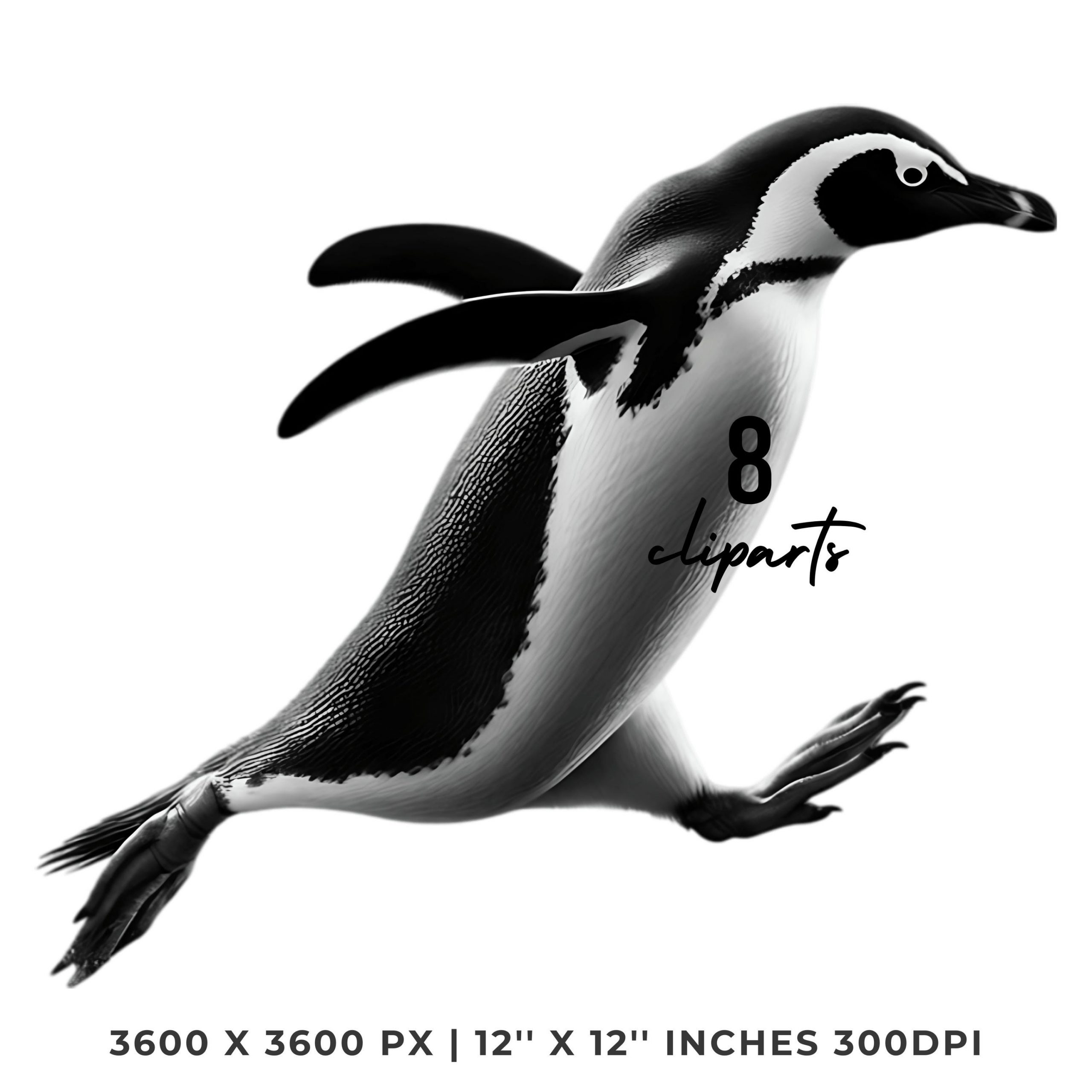 8 Penguin PNG Clipart Transparent | Watercolor Arctic Penguin for Sublimation, Card Making, Scrapbooking, Junk Journaling | Commercial Use – Instant Digital Download