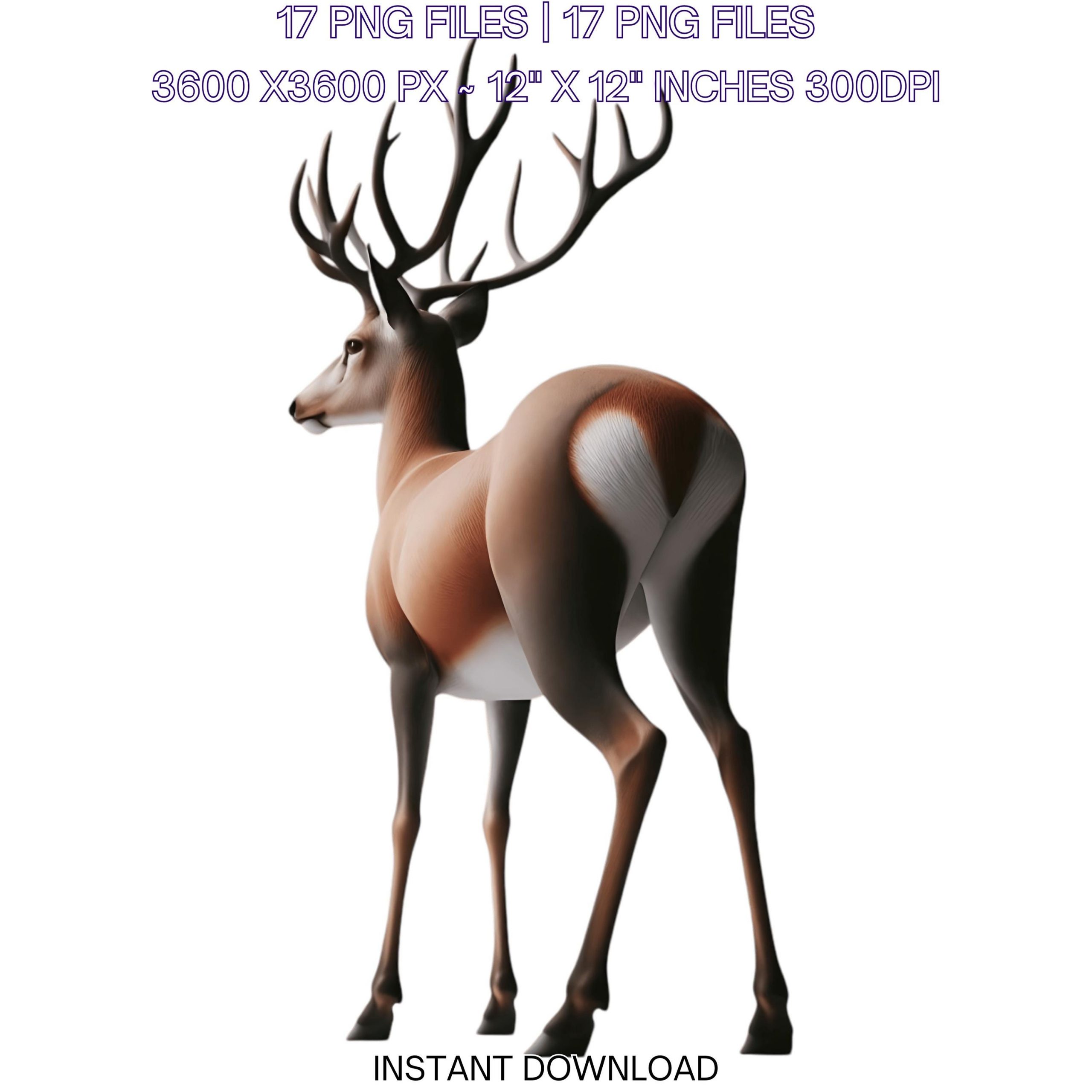 17 Deer PNG Clipart Transparent | Watercolor Wild Hart Deer for Sublimation, Card Making, Scrapbooking, Junk Journaling | Commercial Use – Instant Digital Download