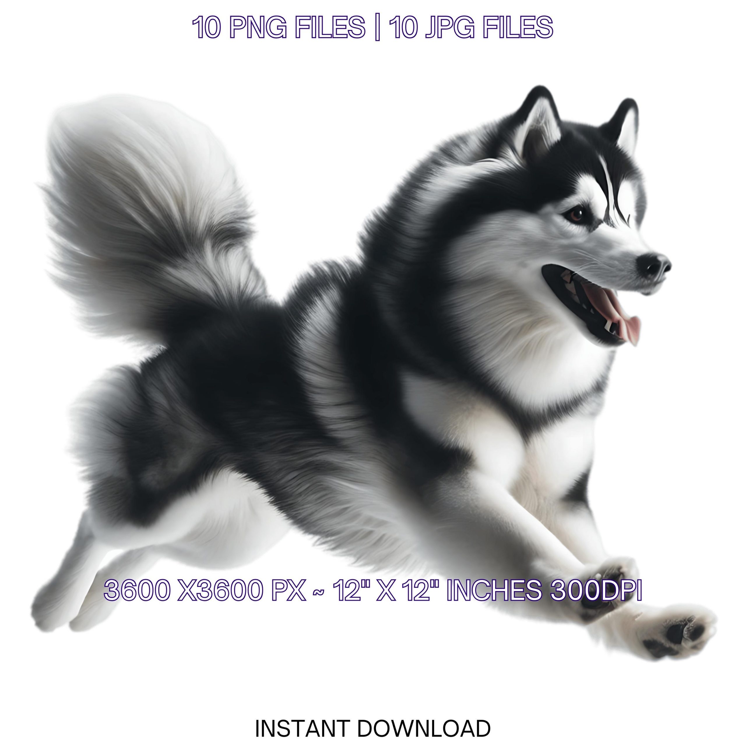 10 Siberian Husky Puppy Dog PNG Clipart | Watercolor Baby Dog for Card Making, Scrapbooking, Junk Journaling, Sublimation | Commercial Use – Instant Digital Download