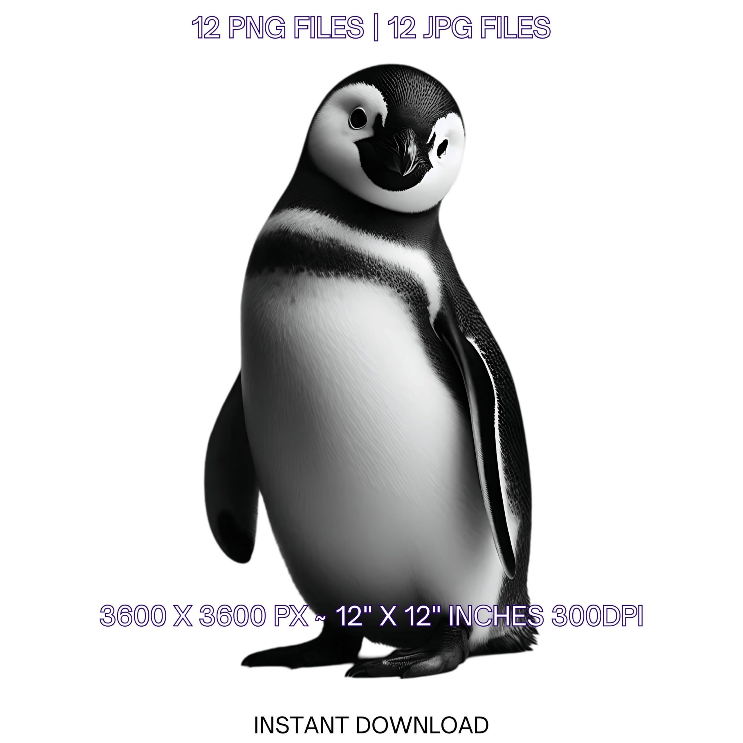 12 Penguin PNG Clipart Transparent | Watercolor Arctic Penguin for Sublimation, Card Making, Scrapbooking, Junk Journaling | Commercial Use – Instant Digital Download