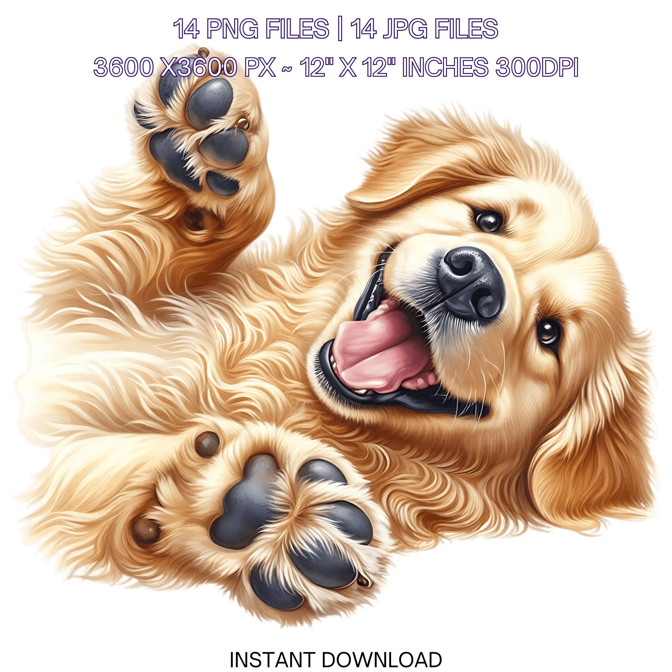 14 Golden Retriever Dog PNG Clipart Watercolor Golden Retriever for Card Making, Scrapbooking Junk Journaling, Sublimation Commercial Use – Instant Digital Download