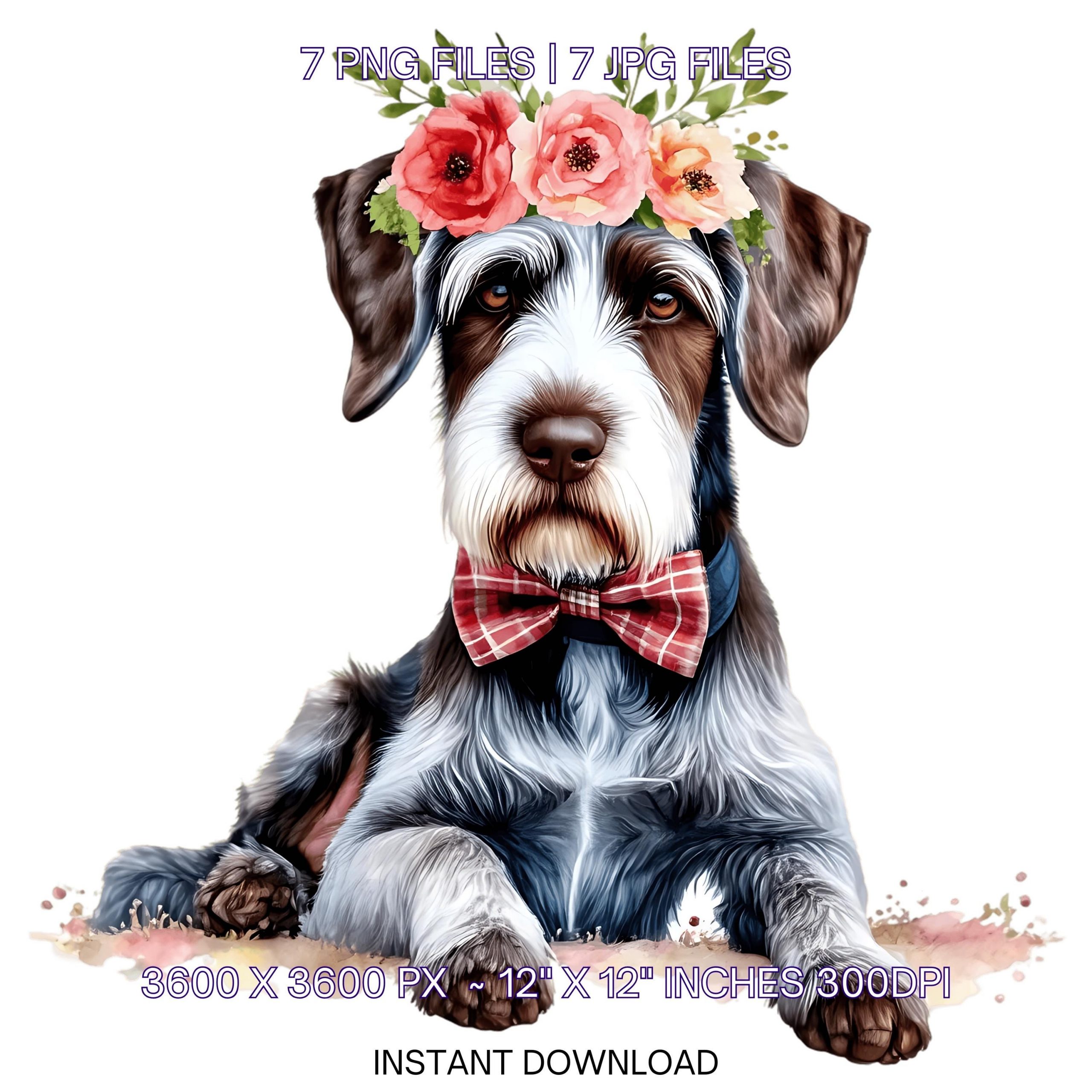 German Wirehaired Pointer Dog Wearing Floral Bow & Bunny Ear Handband Ready for Easter Egg Hunting Clipart PNG, 7 Dog Lover Commercial Use – Instant Digital Download