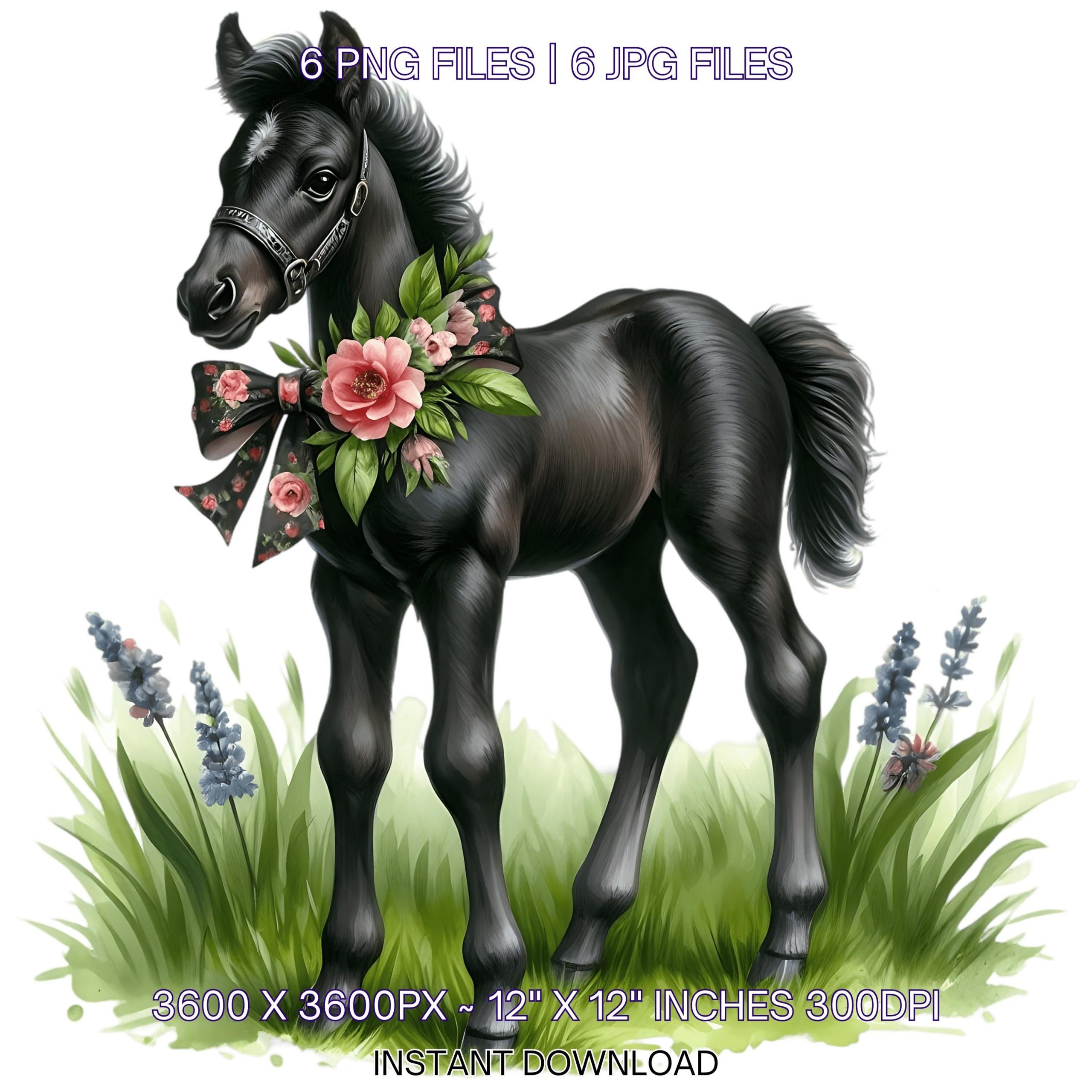 6 Spring Black Foal PNG Clipart, Watercolor Horse, Farm Animals, Card Making, Scrapbooking, Junk Journaling, Sublimation, Commercial Use – Instant Digital Download