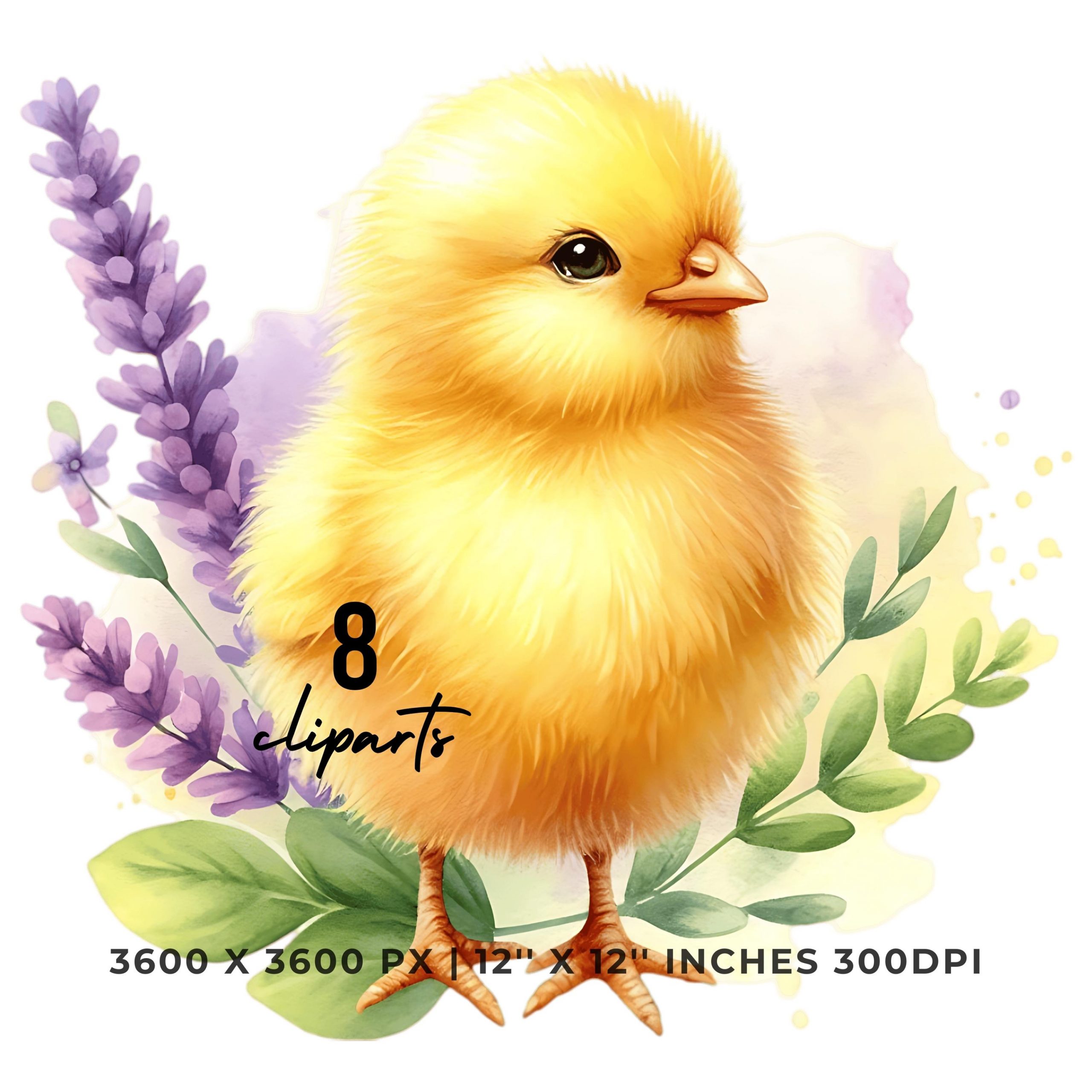 8 Yellow Chick Clipart | Chicken PNG | Spring Chick Sublimation | Watercolor Easter Chick PNG | Farm Life Sublimation | Commercial Use – Instant Digital Download