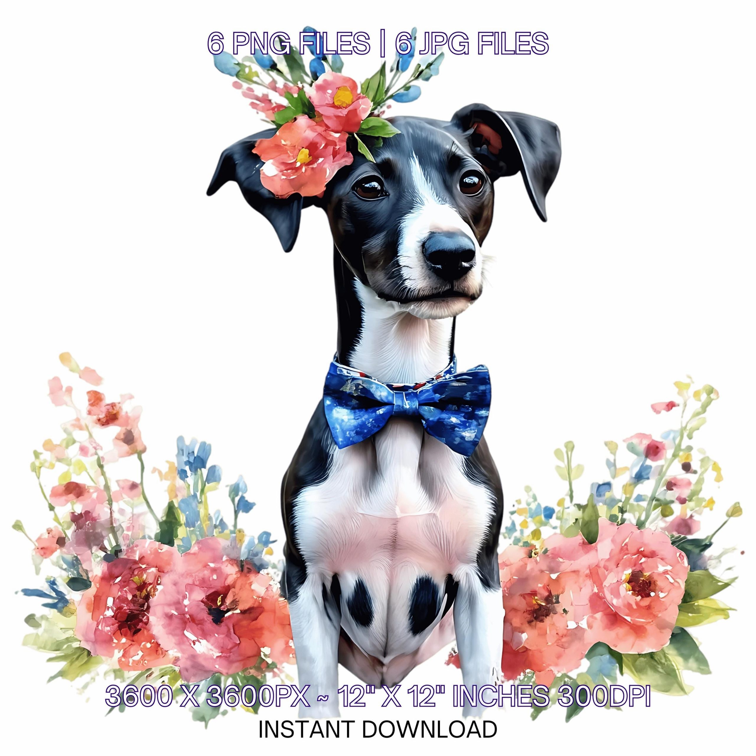Easter Pointer Dog Wearing Floral Bow & Bunny Ear Handband Ready for Easter Egg Hunting Clipart PNG, 6 Dog Lover Commercial Use – Instant Digital Download