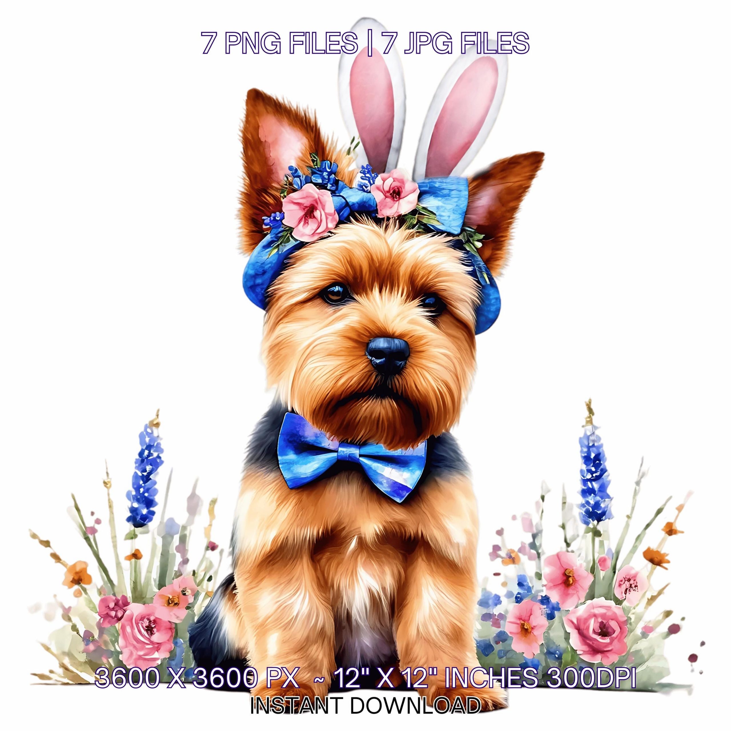 Easter Norwich Terrier Dog Wearing Floral Bow & Bunny Ear Handband Ready for Easter Egg Hunting Clipart PNG, 7 Dog Lover Commercial Use – Instant Digital Download