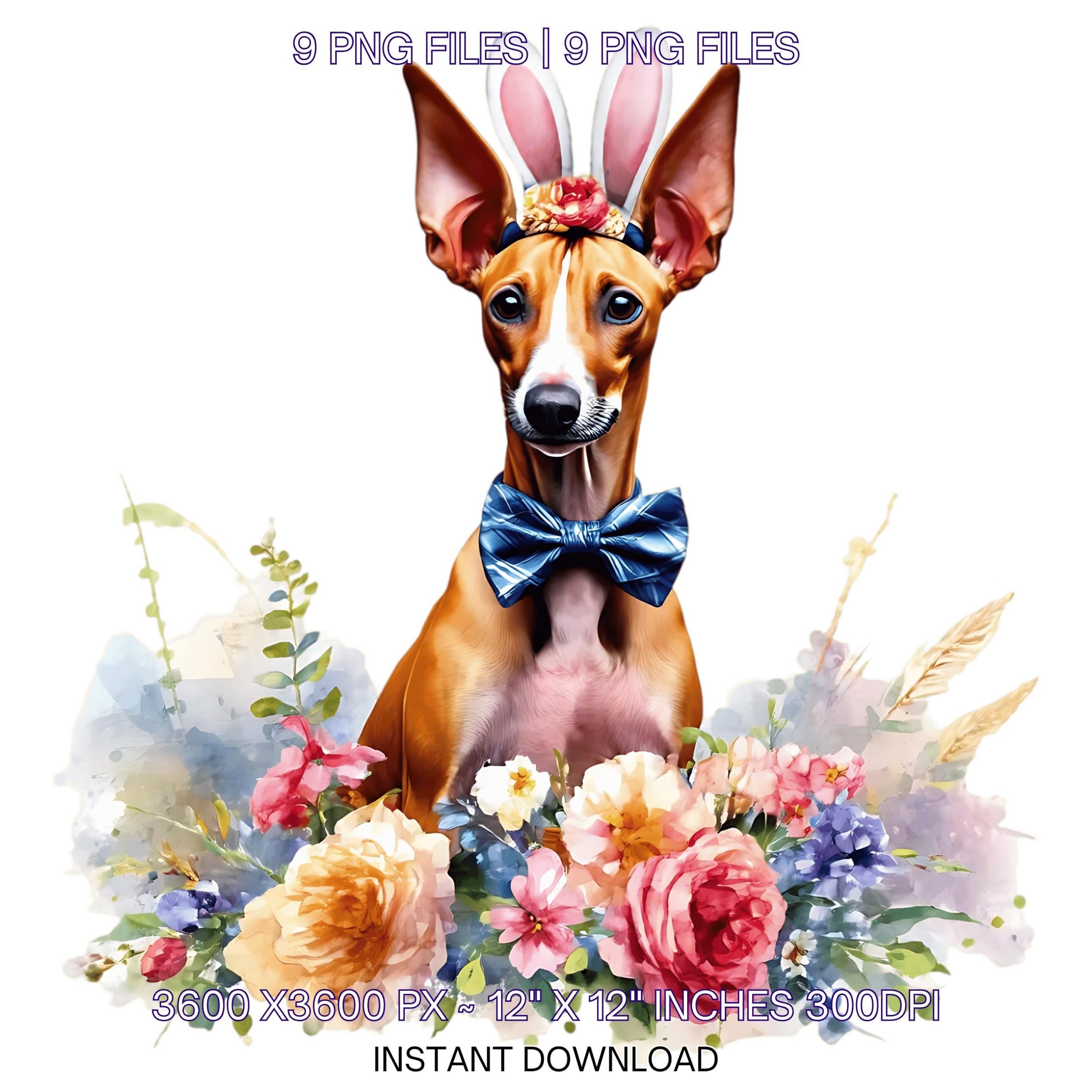 Easter Pharaoh Hound Dog Wearing Floral Bow & Bunny Ear Handband Ready for Easter Egg Hunting Clipart PNG, 9 Dog Lover Commercial Use – Instant Digital Download