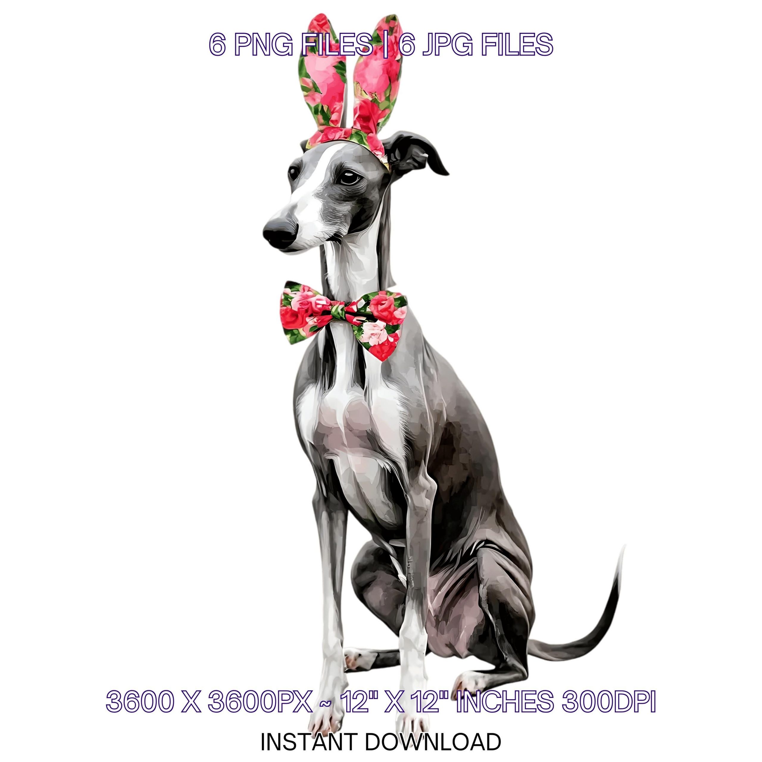 Easter Greyhound Dog Wearing Floral Bow & Bunny Ear Handband Ready for Easter Egg Hunting Clipart PNG, 6 Dog Lover Commercial – Instant Digital Download