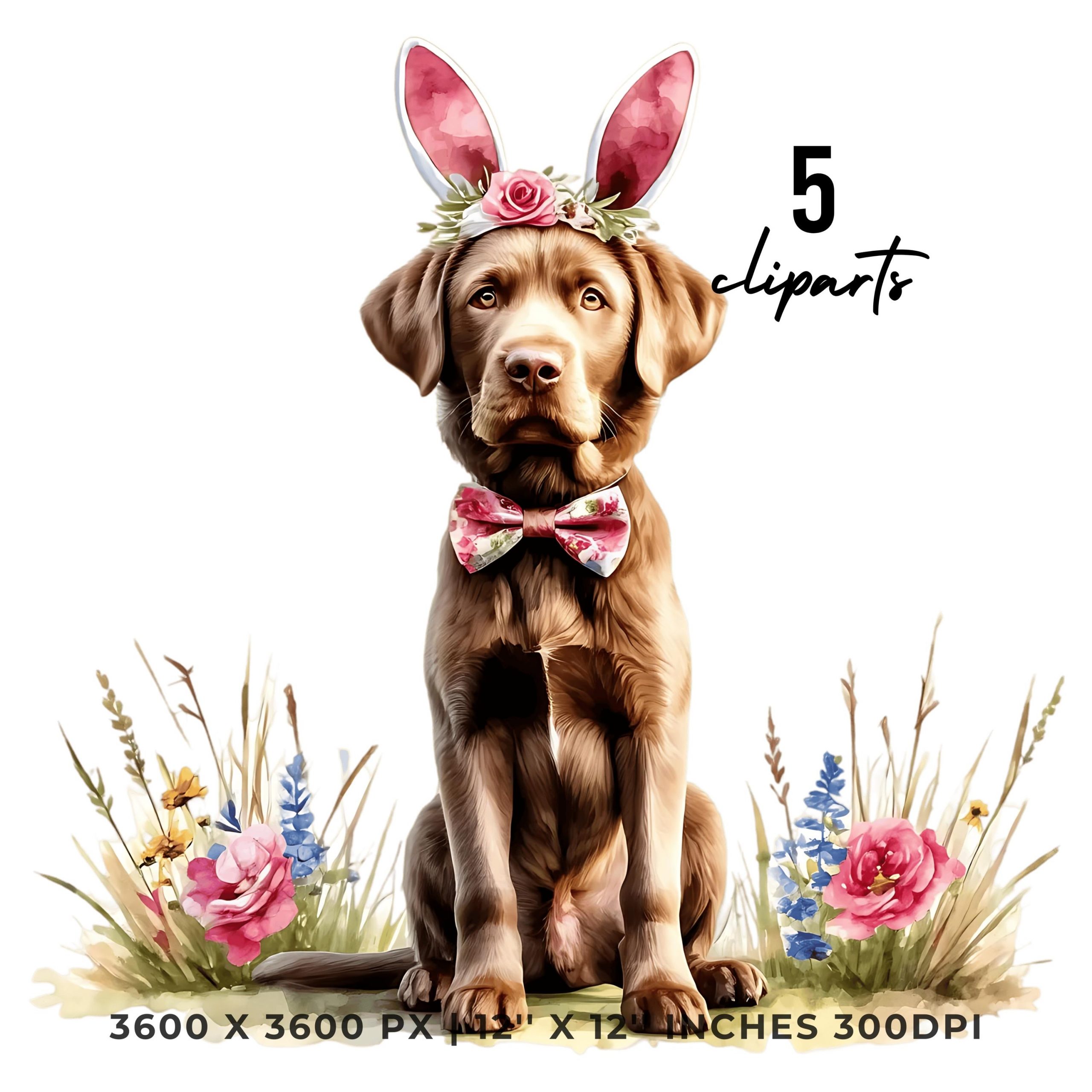 Chesapeake Bay Retriever Dog Wearing Floral Bow & Bunny Ear Handband Ready for Easter Egg Hunting Clipart PNG, 5 Dog Lover Commercial Use – Instant Digital Download