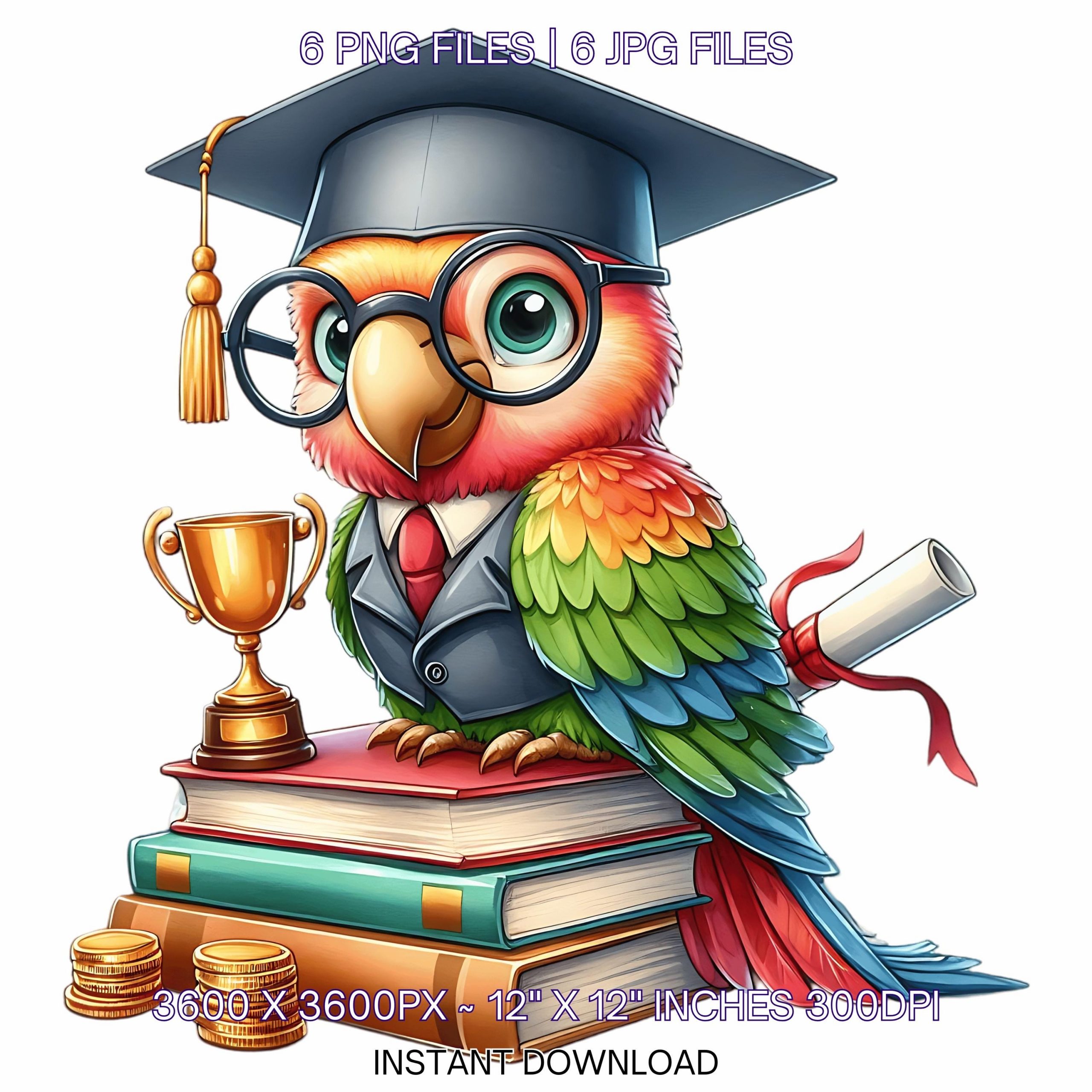 Kindergarten Parrot wearing Cap holding a Diploma PNG | Graduation Parrot Clipart | Grad Student | Graduate Kid | 6 JPG-PNG Commercial Use – Instant Digital Download