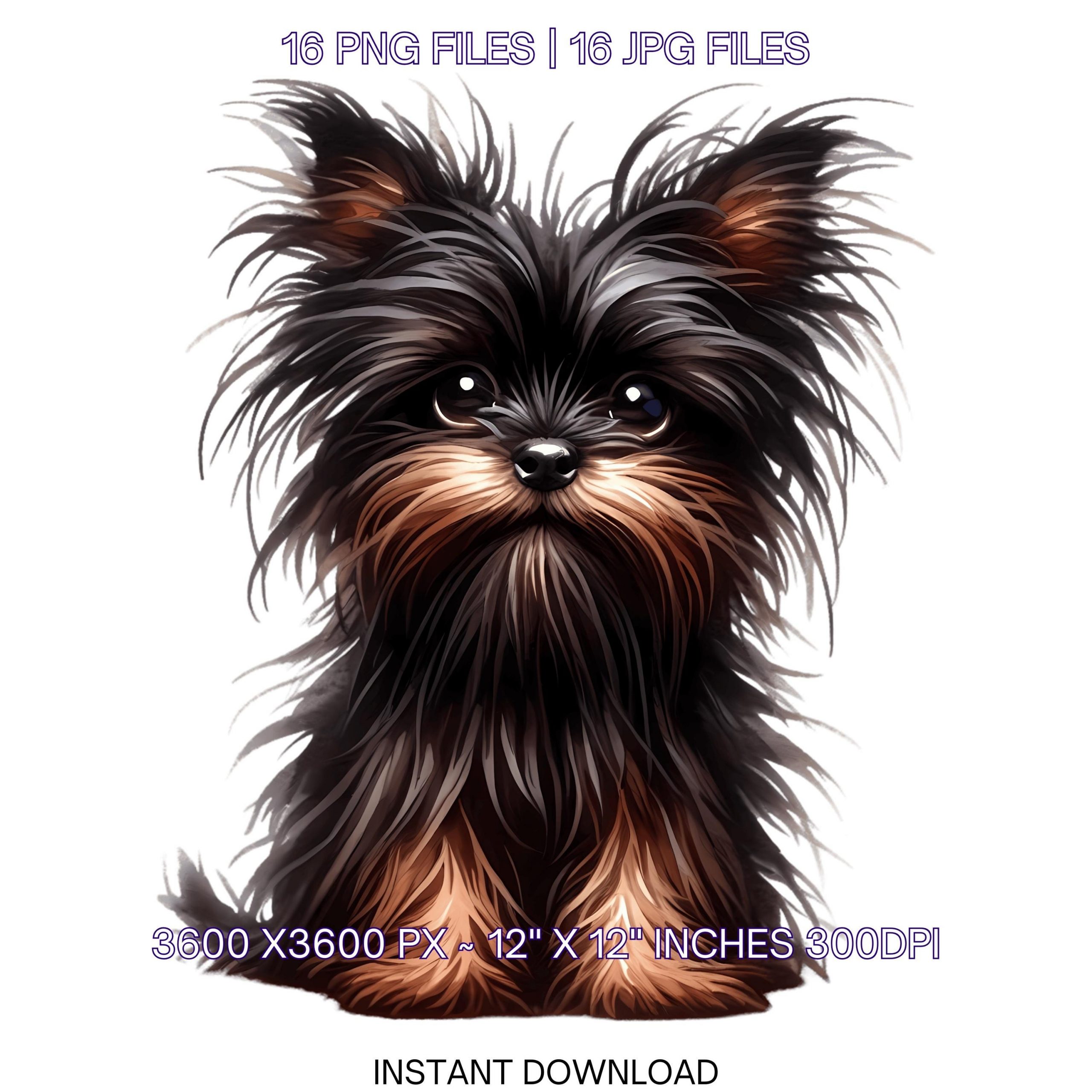 Black Affenpinscher Clipart | 16 Watercolor Black Affenpinscher Puppy Dog PNG for Card Making, Scrapbooking, Sublimation, Commercial Use – Instant Digital Download