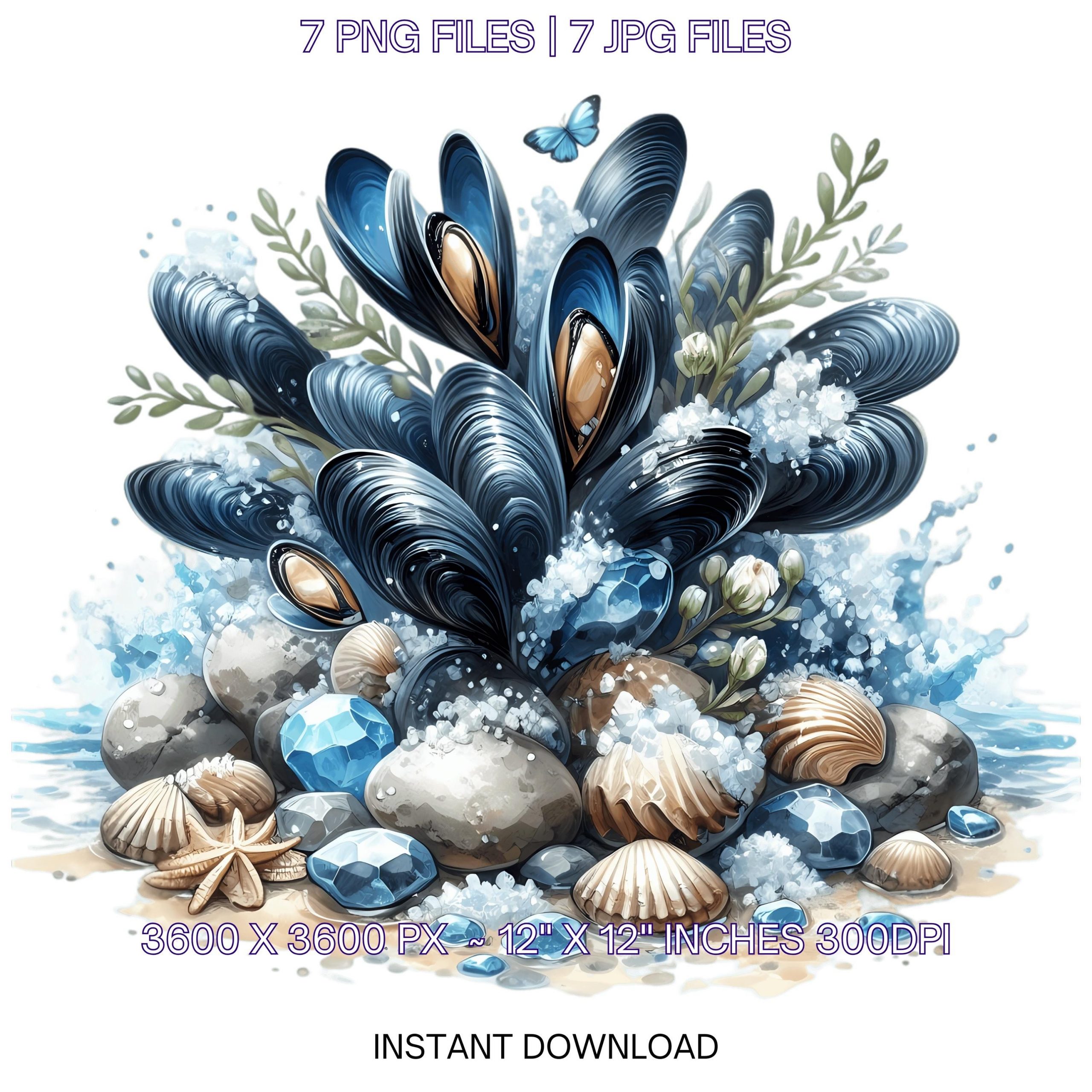 Mussel Clipart PNG | 7 Watercolor Cluster of blue-black Mussels on a rock, salt crystals & shells | Underwater Sublimation Commercial Use – Instant Digital Download