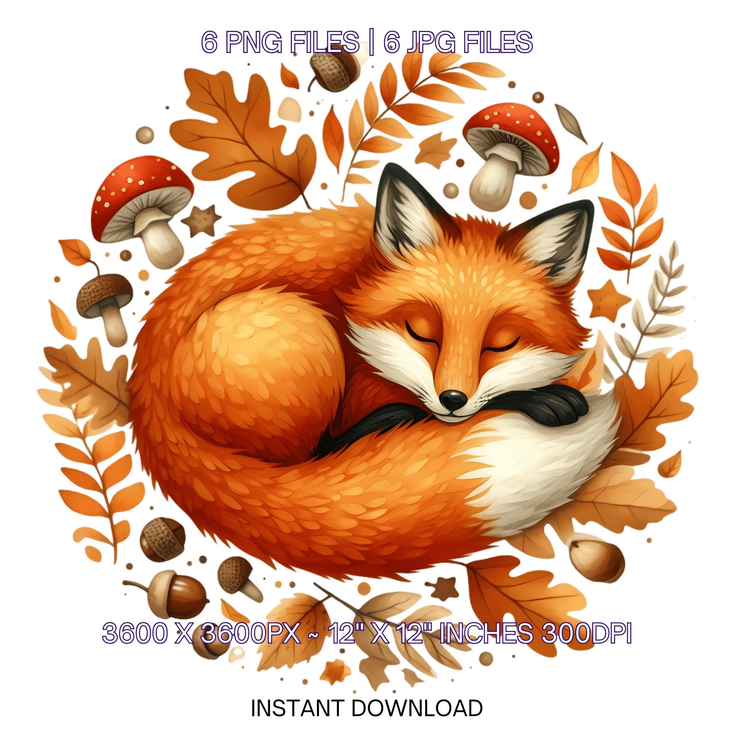 Fox Clipart PNG | 6 Watercolor Slipping Fox Curled up in a Bed of Fall Leaves, Mushrooms, and Acorns Sublimation Transparent Commercial Use – Instant Digital Download