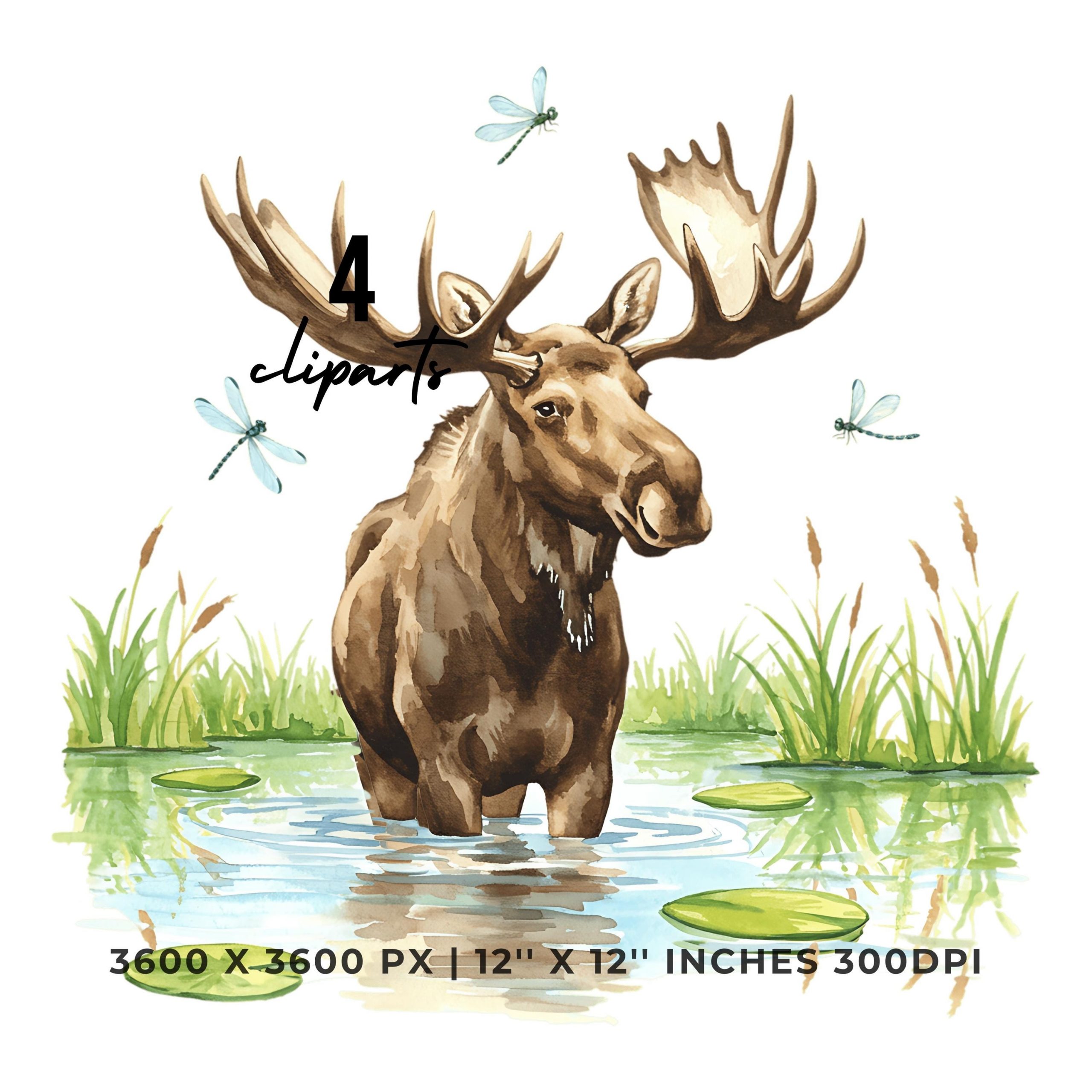 Summer Moose Clipart PNG | 4 Watercolor Moose wading through a summer lake while dragonflies buzz around | Sublimation Commercial Use – Instant Digital Download