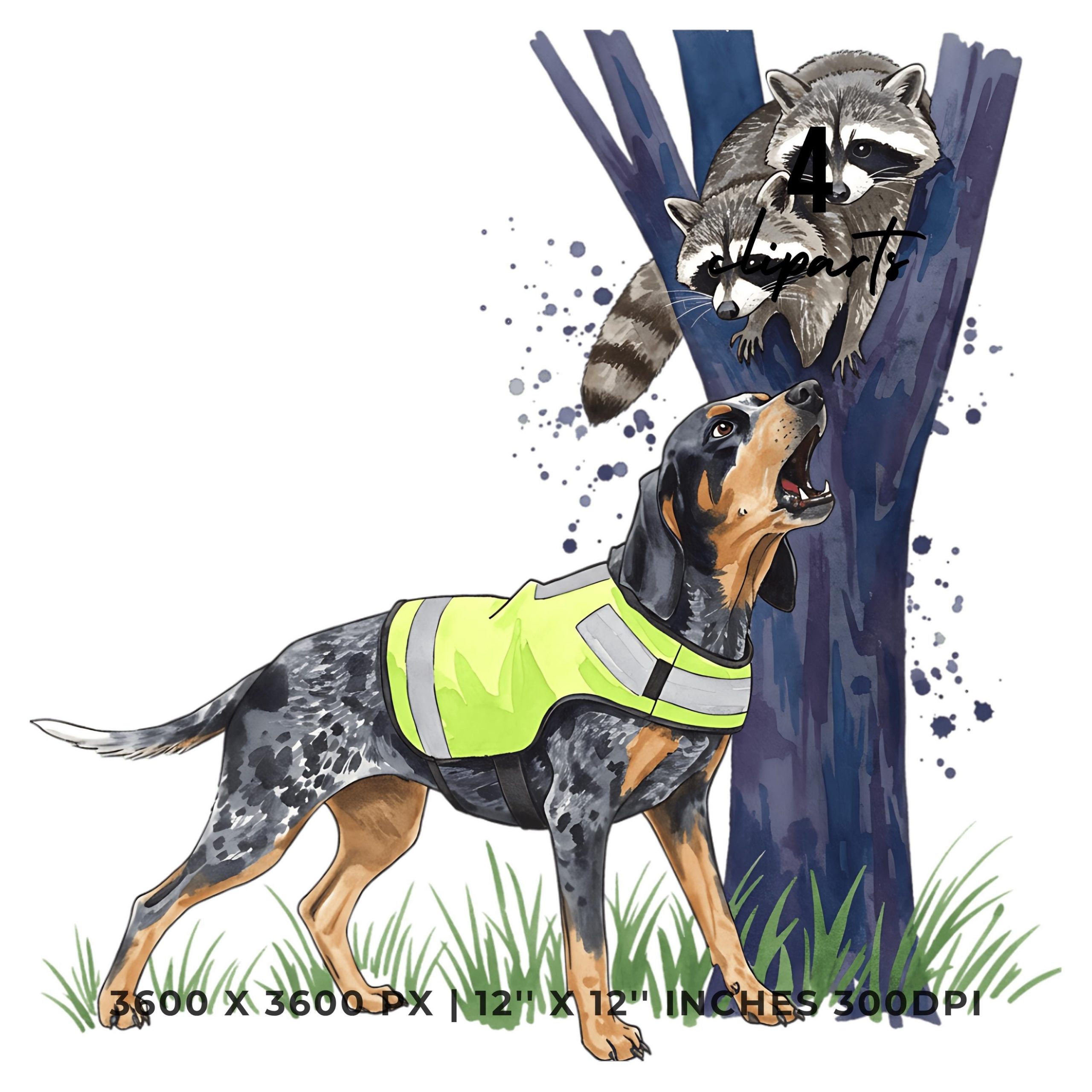 Bluetick hunting Raccoon Clipart PNG | 4 Watercolor Bluetick dog Coonhound baying at a treed raccoon under a forest | Sublimation Commercial – Instant Digital Download