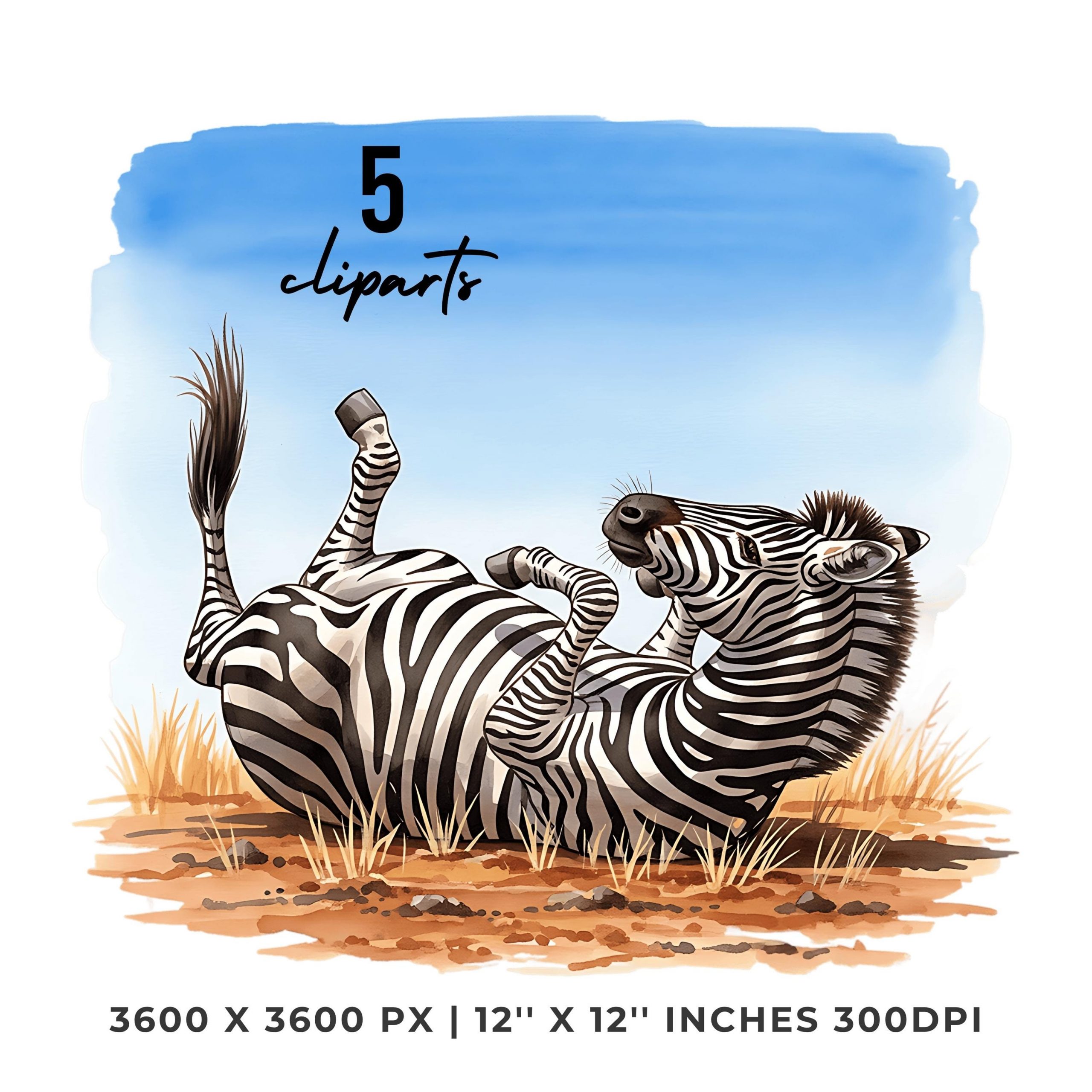 Summer Zebra Clipart PNG | 5 Watercolor Zebra rolling in the dry summer dirt, flicking its tail under blue sky | Sublimation Commercial Use – Instant Digital Download