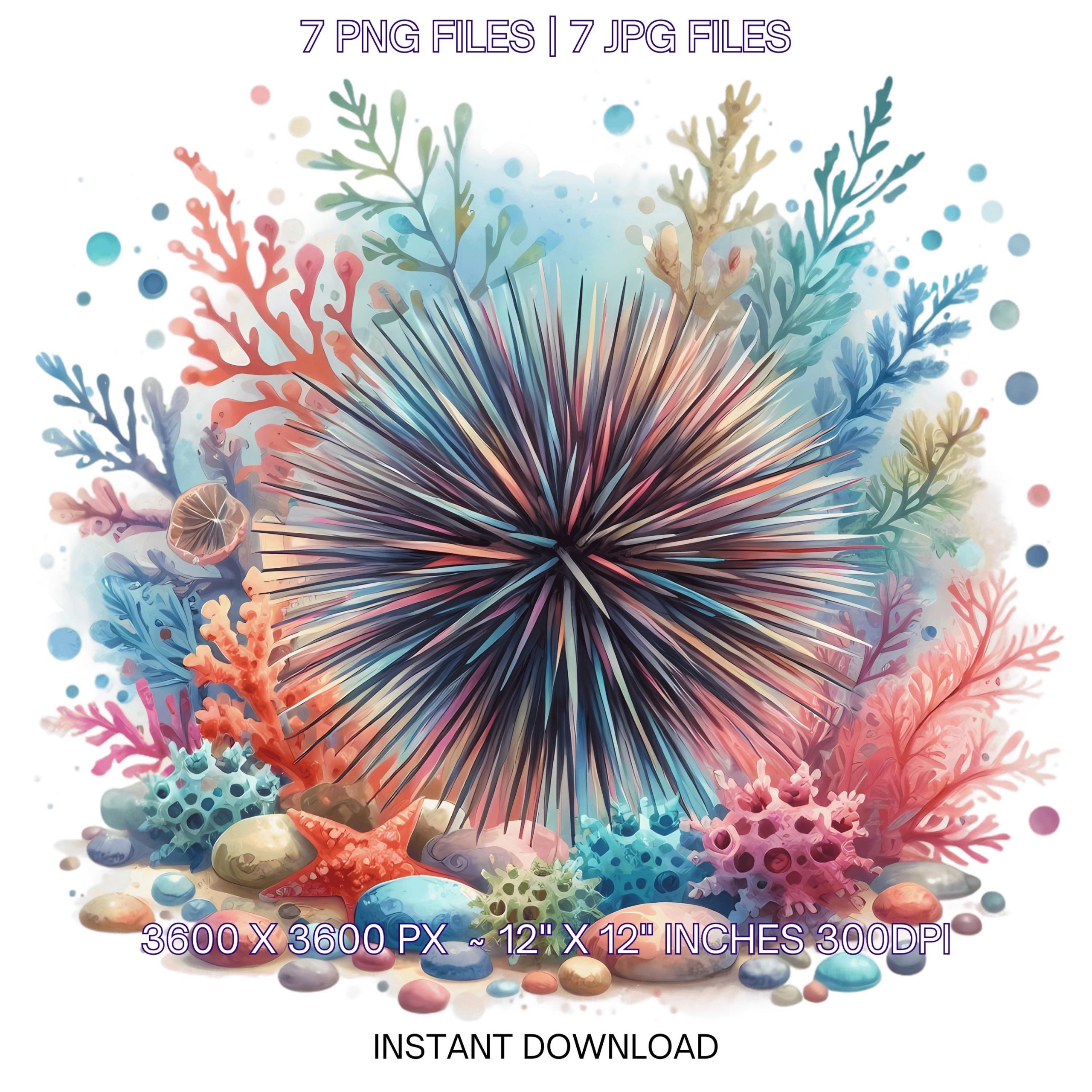 Urchin Clipart PNG | 7 Spiky Sea Urchin with colorful coral, pebbles, and whimsical marine vibe  | Underwater Sublimation Commercial Use – Instant Digital Download