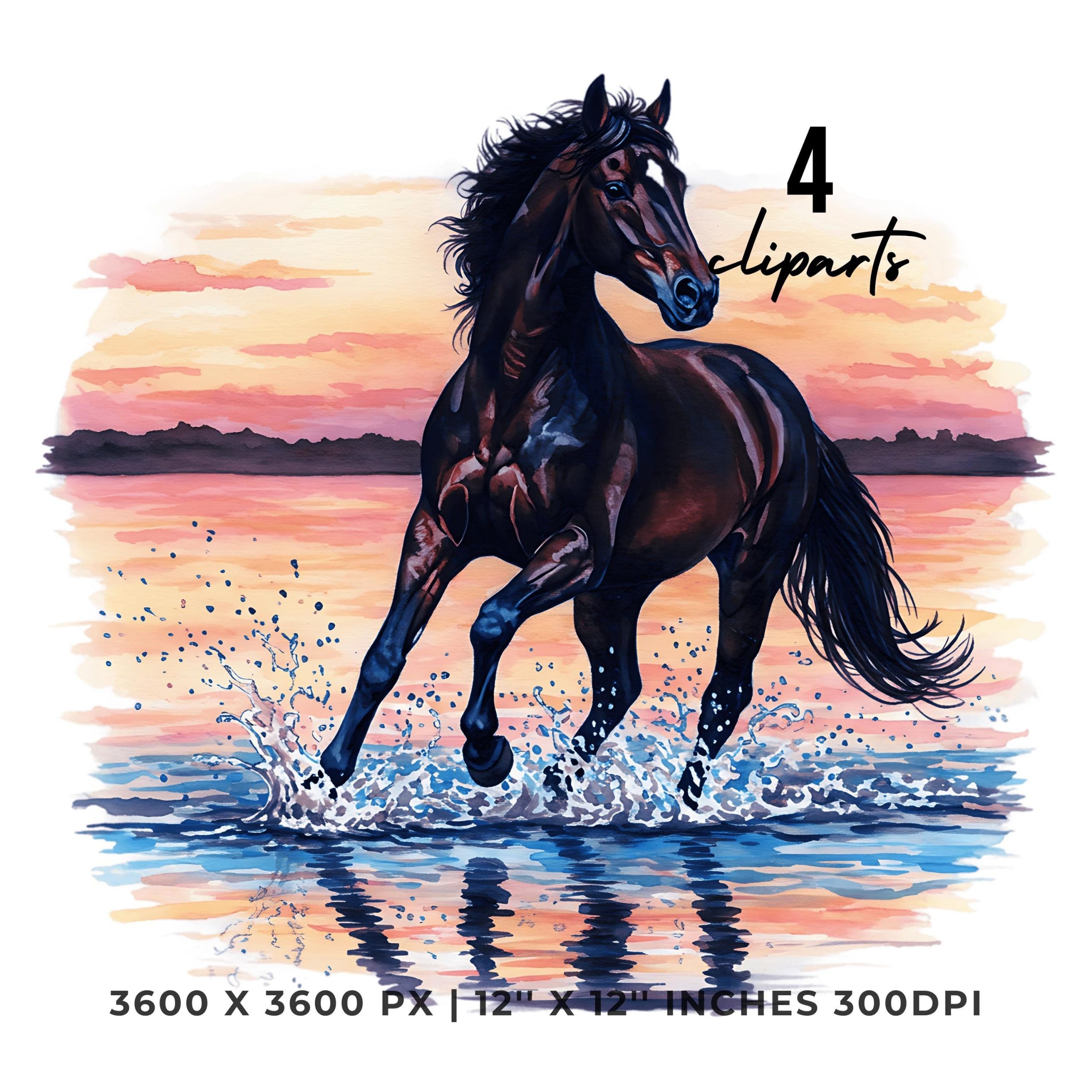 Black Horse Clipart PNG | 4 Watercolor horse galloping along the shoreline at sunset, water splashing with every stride | Commercial Use – Instant Digital Download