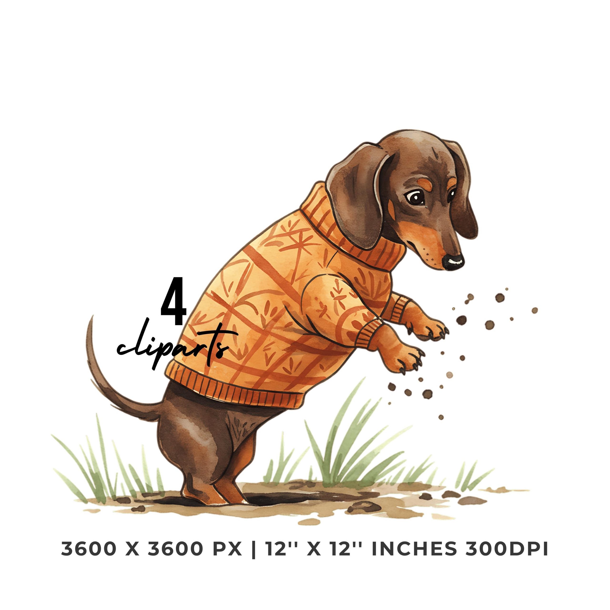 Summer Dachshund Clipart PNG | 4 PNG 4 JPG Watercolor Mini Dachshund digging at rabbit hole, in hunting sweater | Sublimation Commercial Use – Instant Digital Download
