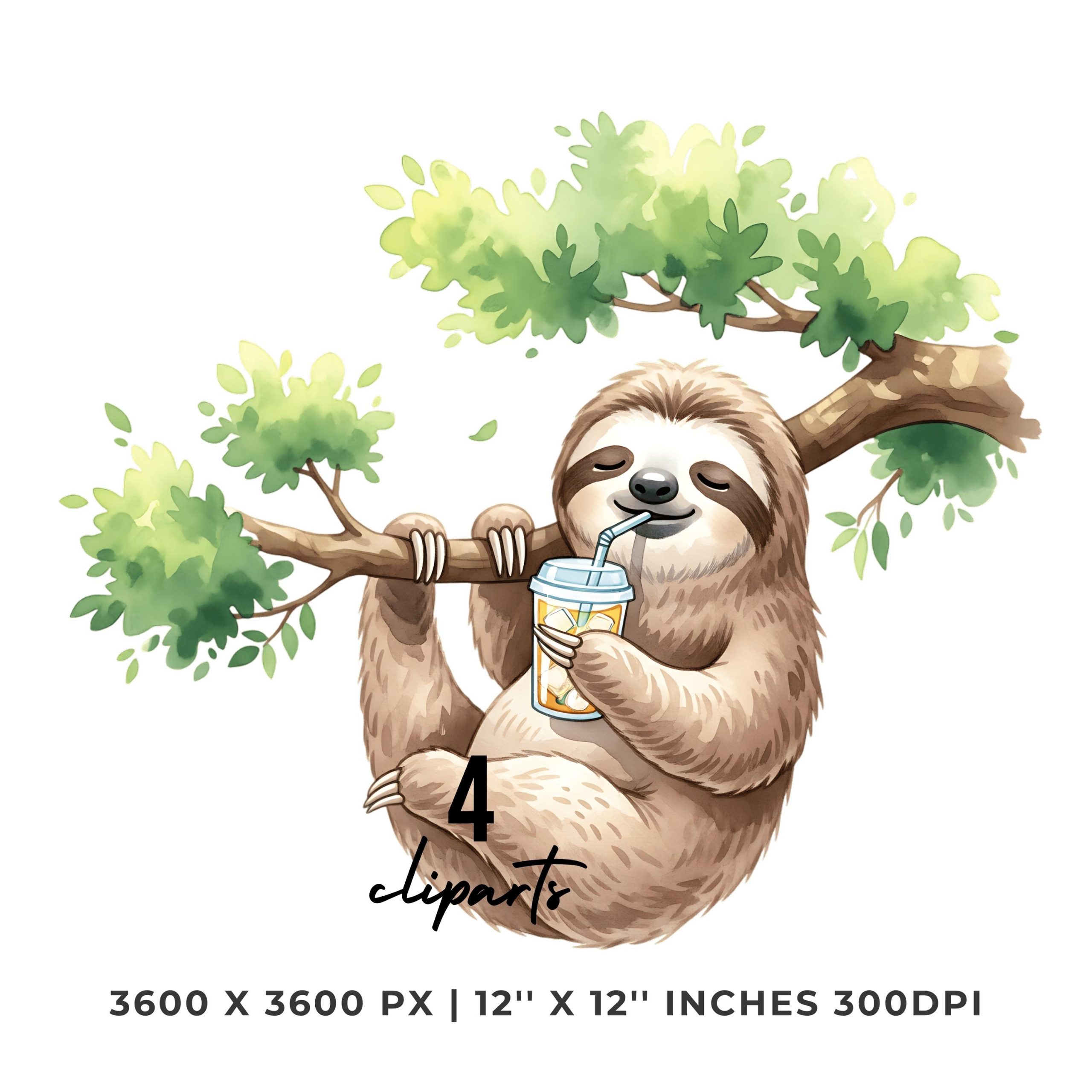 Sloth Clipart PNG | 4 Watercolor Sloth hanging from a tree sipping an iced drink slowly | Summer Sublimation Transparent Commercial Use – Instant Digital Download
