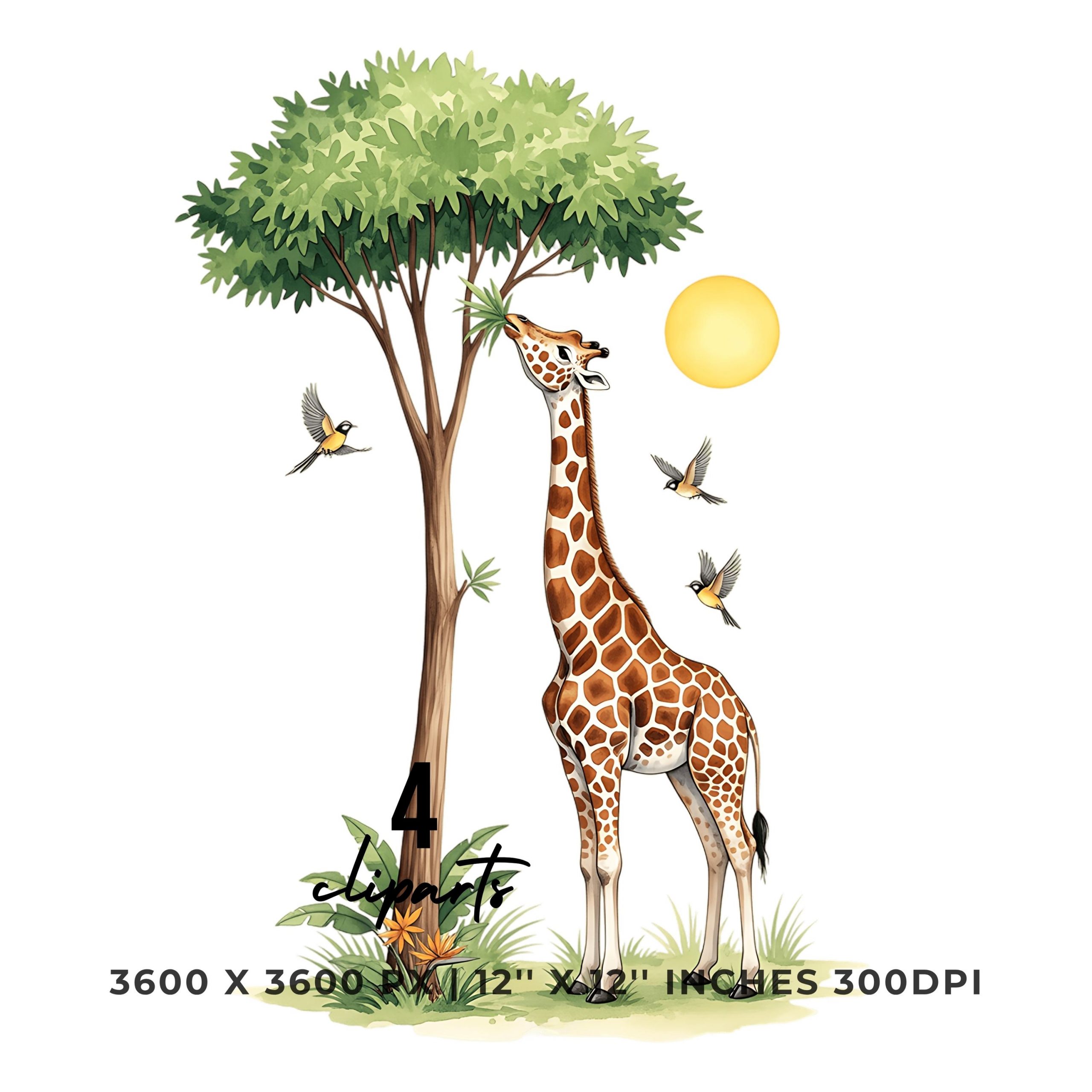 Giraffe Clipart PNG | 4 Watercolor Giraffe munching tropical leaves from a Palm tree while birds sing | Summer Sublimation Commercial Use – Instant Digital Download