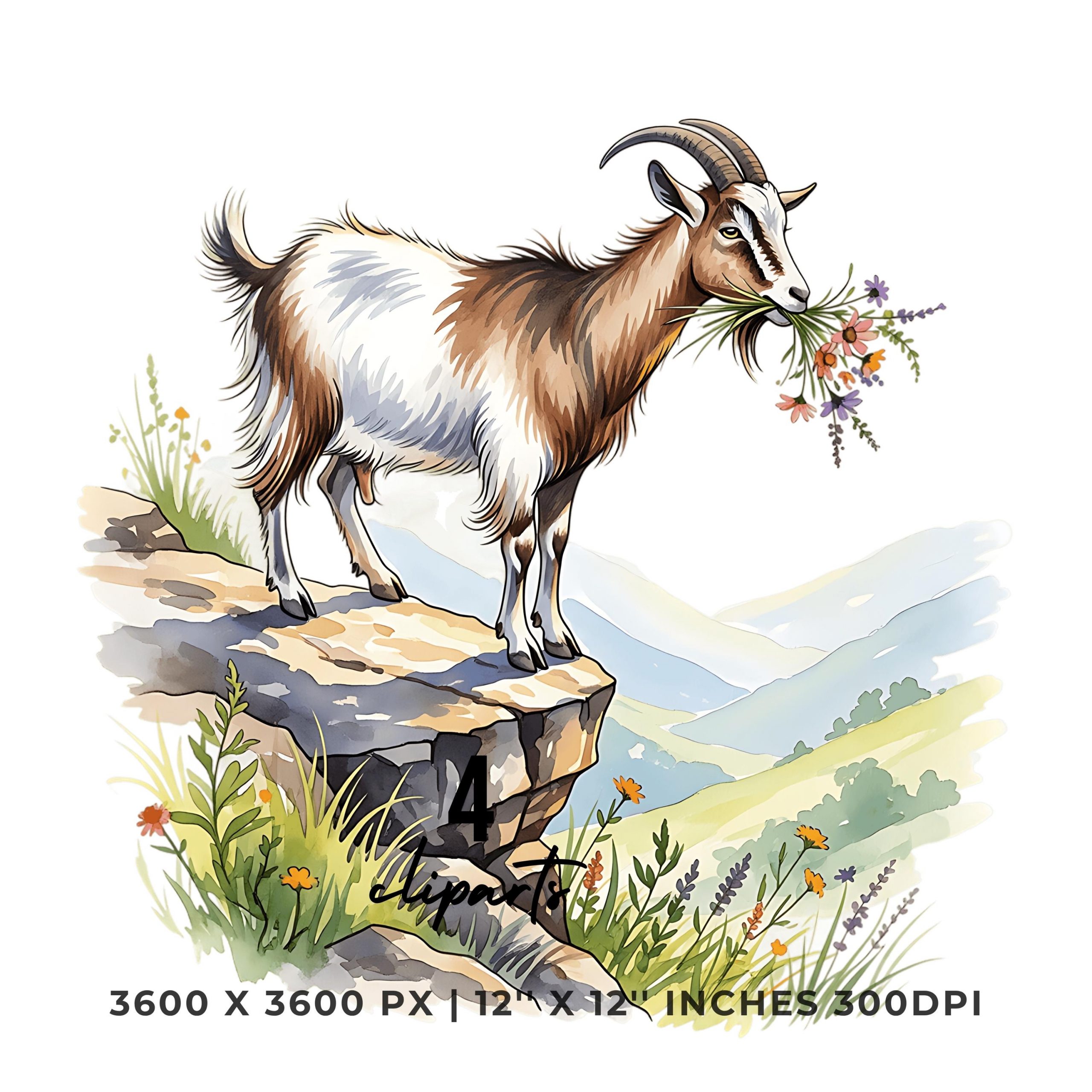 Goat Clipart PNG | Watercolor Goat munching wild herbs on rock | 4 PNG 4 JPG Summer Sublimation Transparent Commercial Use – Instant Digital Download