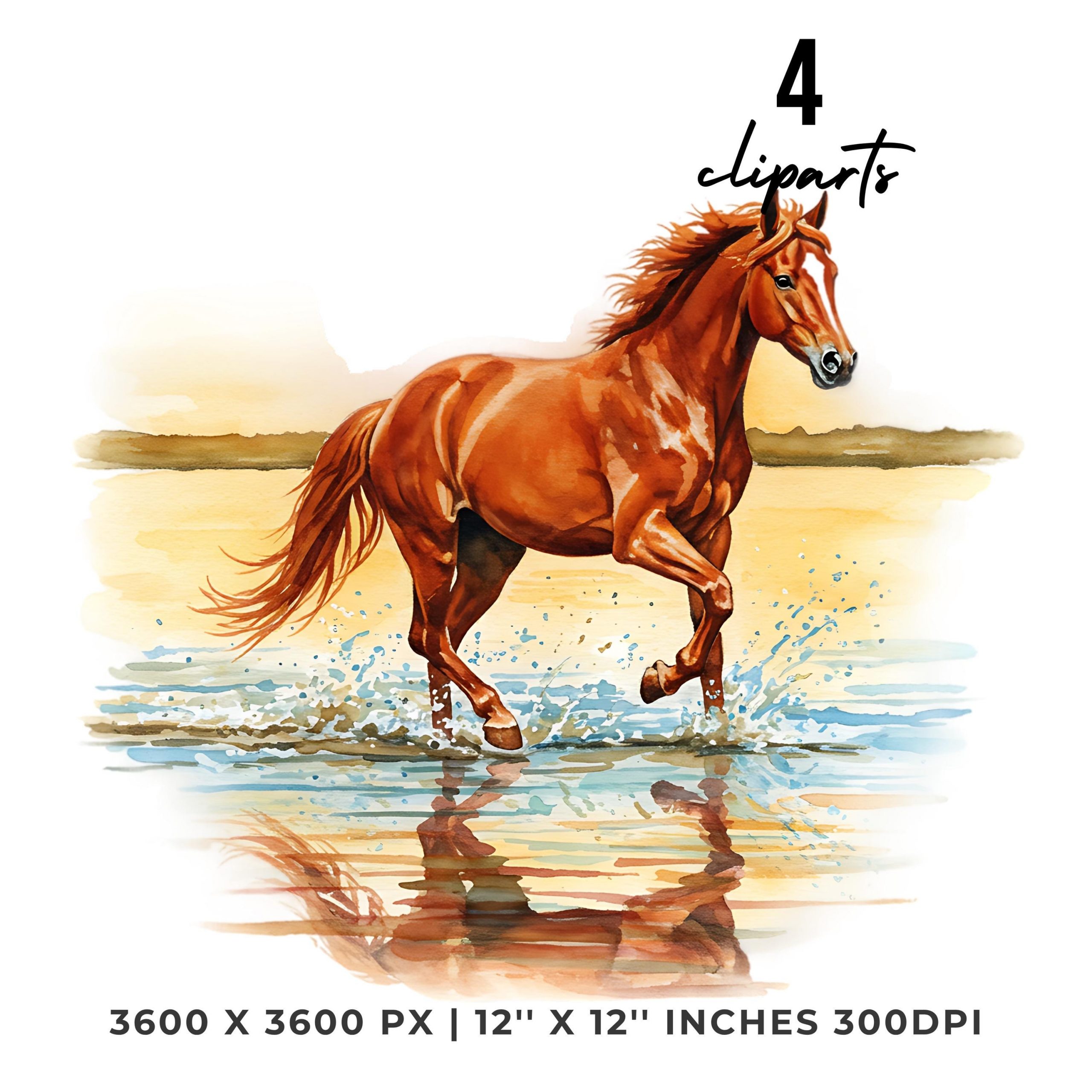 Horse in Summer Clipart PNG | 4 Watercolor horse galloping along the shoreline at sunset, water splashing with every stride, Commercial Use – Instant Digital Download