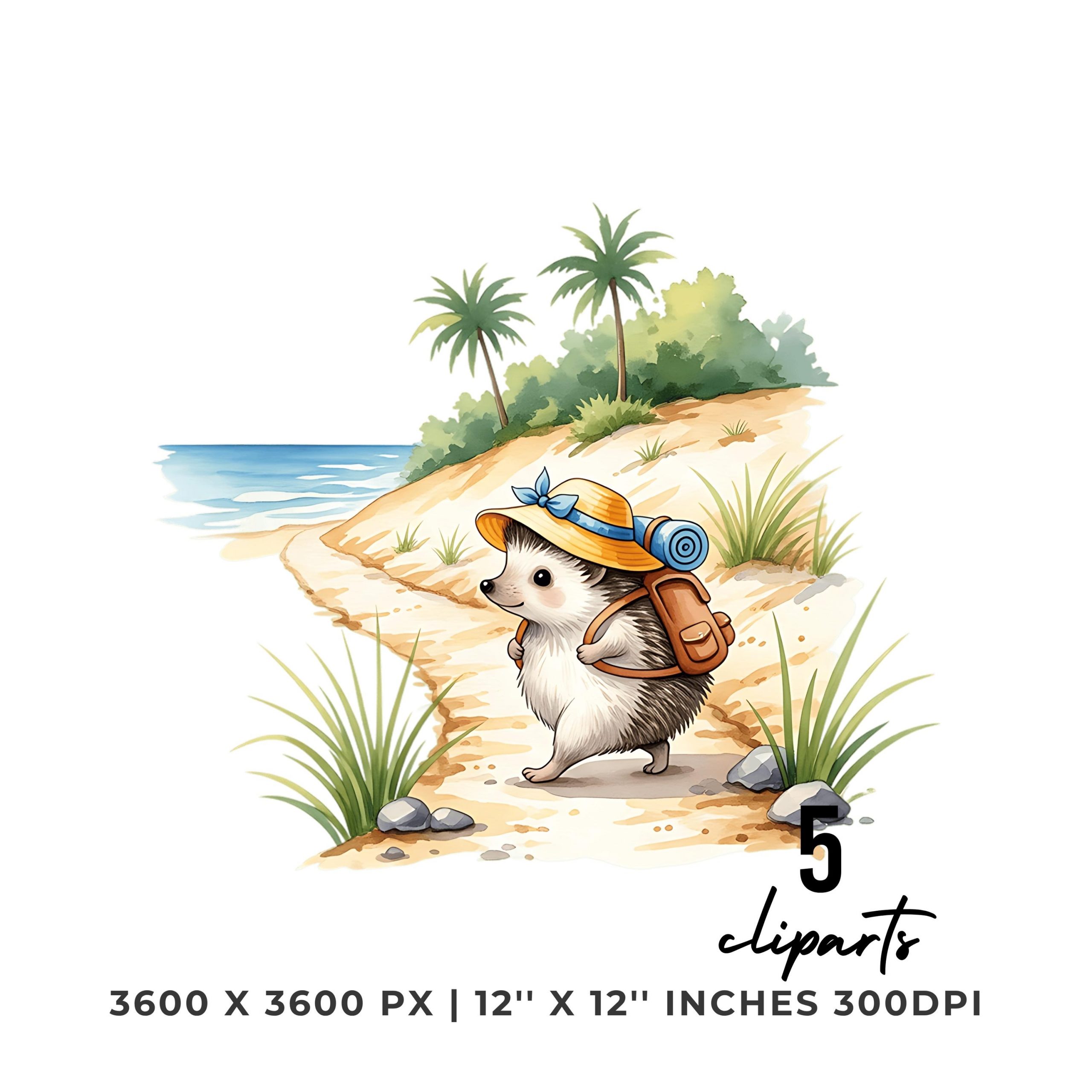 Hedgehog Clipart PNG | 5 Watercolor Hedgehog Walking | Summer Hedgehog Tracking Sublimation Transparent 5 png 5jpg Commercial Use – Instant Digital Download