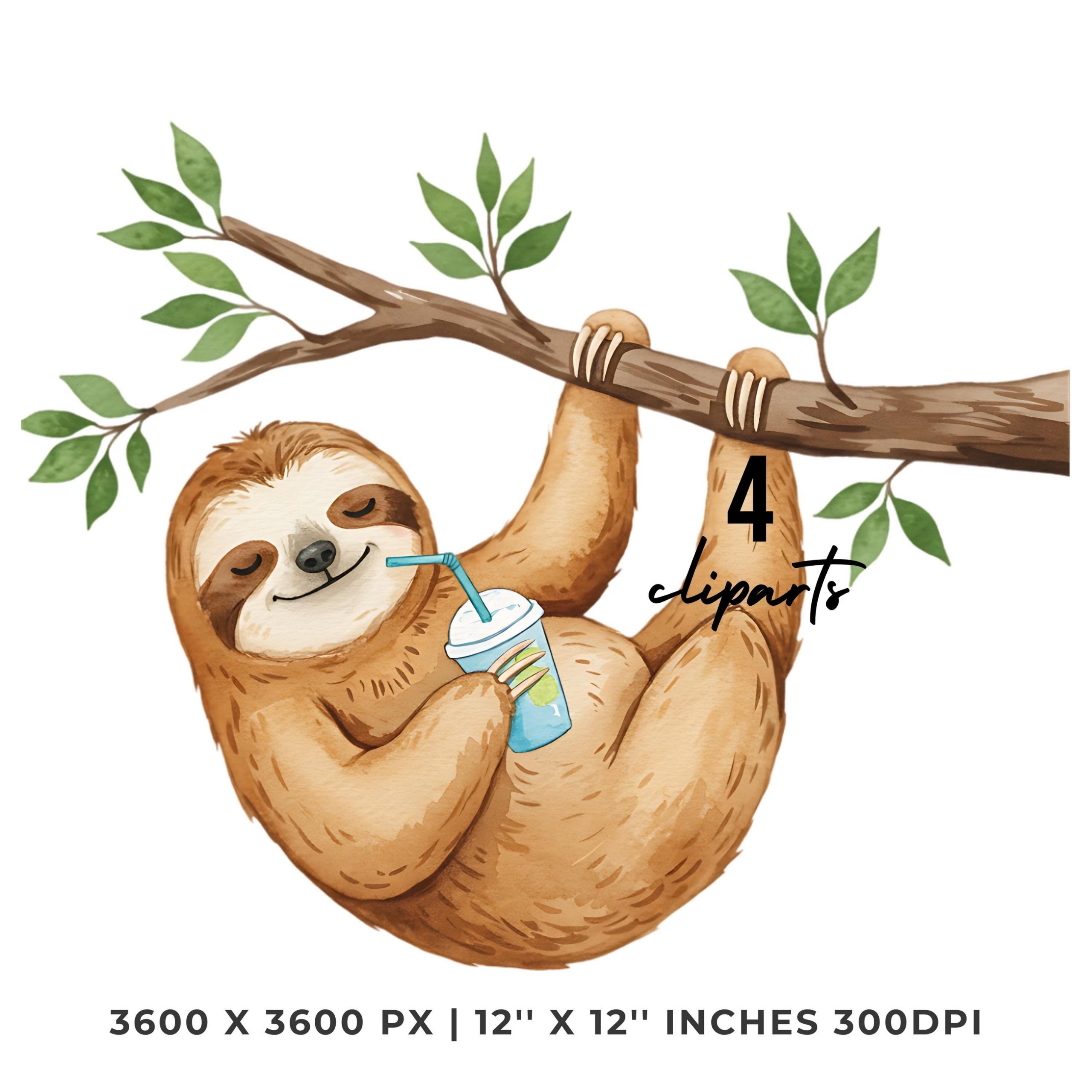 Sloth Clipart PNG | 4 Watercolor Sloth hanging from a Tree Sipping an Iced Drink Slowly | Sublimation Transparent Commercial Use – Instant Digital Download