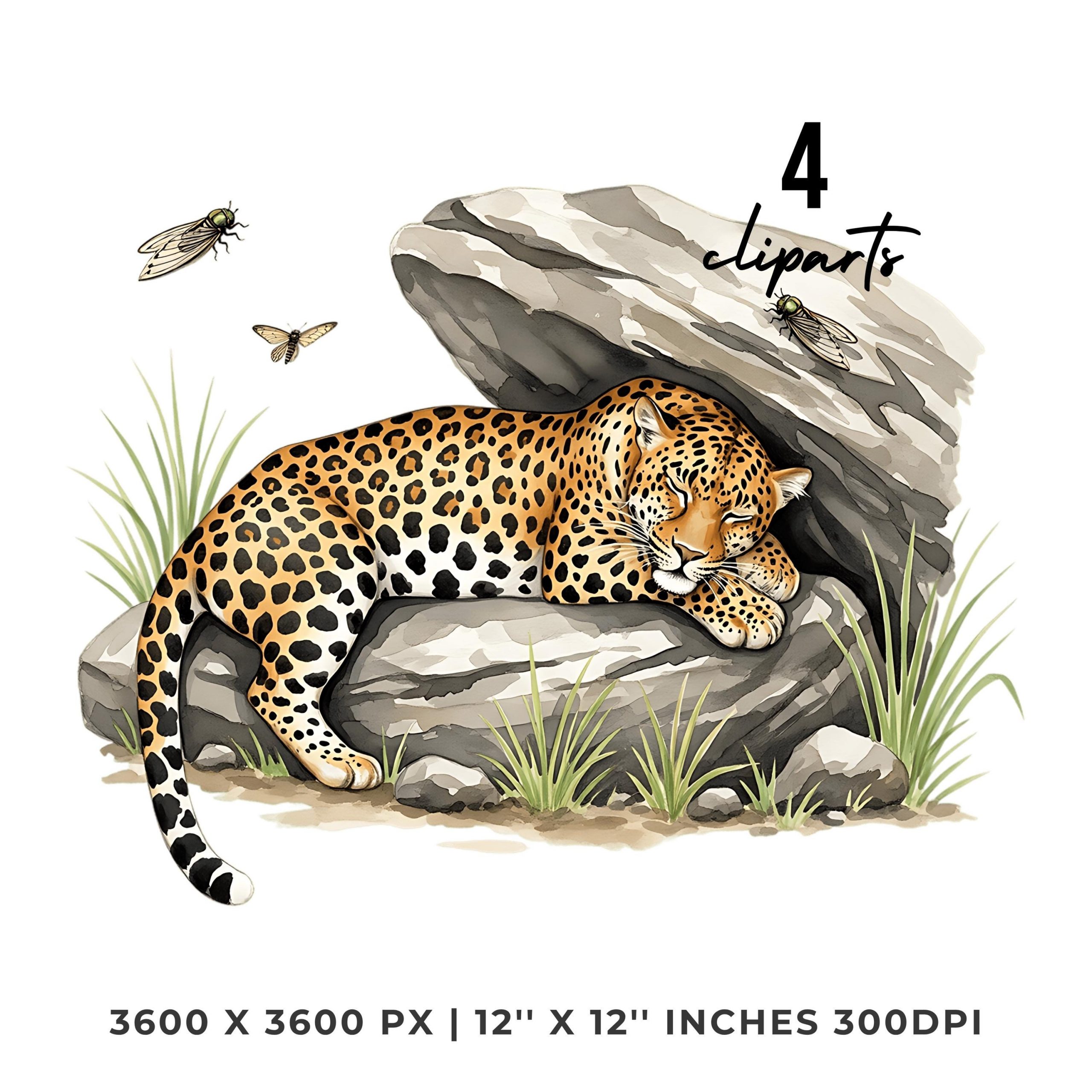 Summer Jaguar Clipart PNG | 4 Watercolor Jaguar taking a nap next to a rock surrounded by flies | Sublimation Transparent Commercial Use – Instant Digital Download