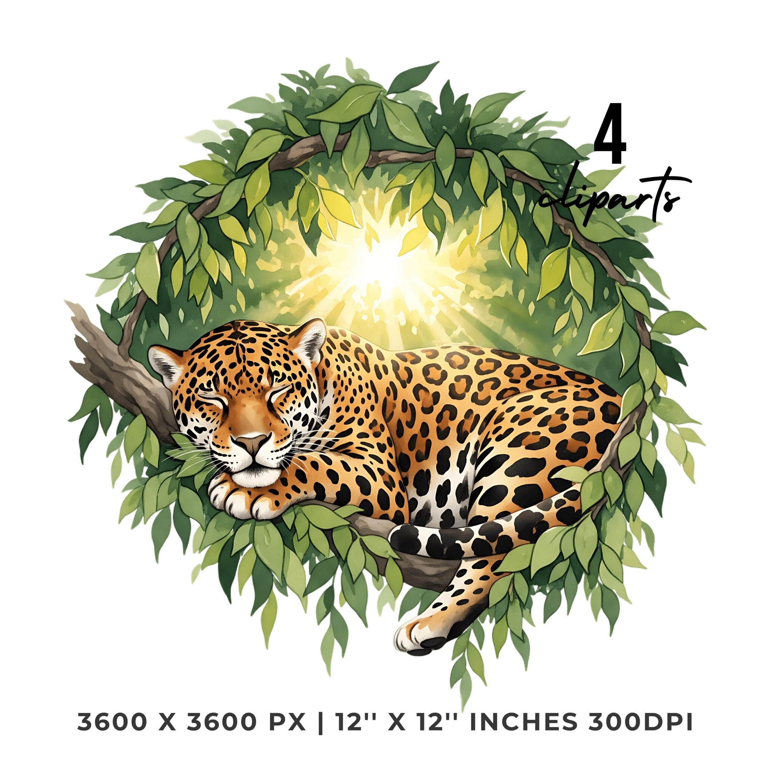 Jaguar Clipart PNG | 4 Watercolor Jaguar taking a nap in a rainforest canopy, sunlight through the leaves | Sublimation Commercial Use – Instant Digital Download