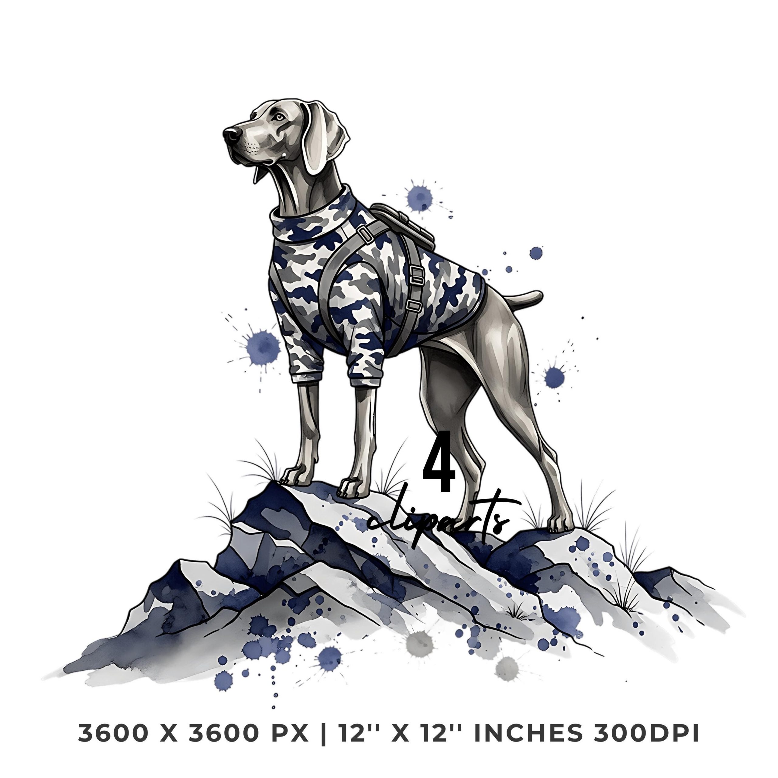 Weimaraner Dog in Camo Jacket Clipart Bundle | Dog on a rock ! 4 PNG & 4 JPG Sublimation Transparent Hi-Res Commercial Use – Instant Digital Download