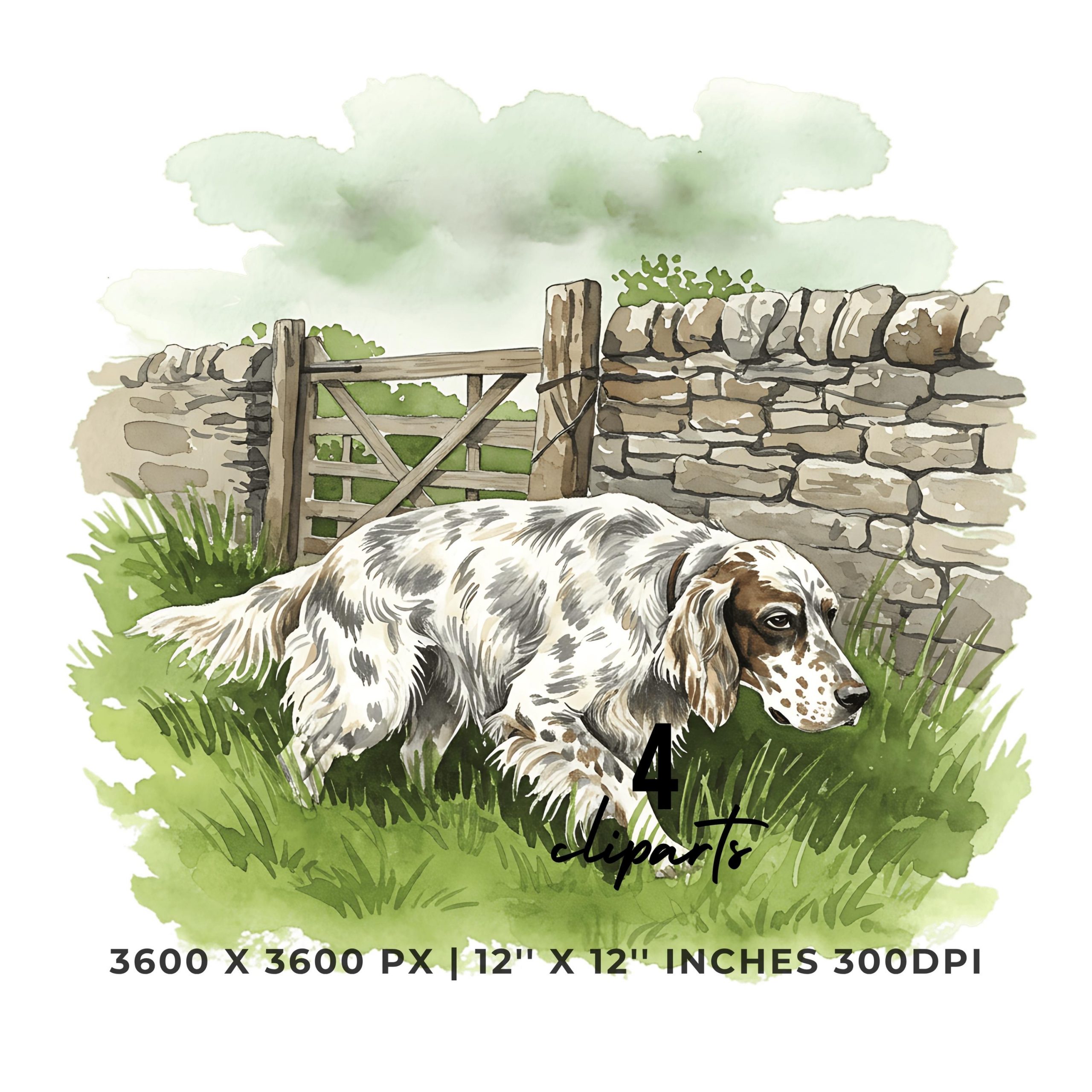 English Setter Hunting Clipart | 4 PNG & 4 JPG | Fall Dog Field Art 4 Set | Sublimation Transparent Commercial Use – Instant Digital Download