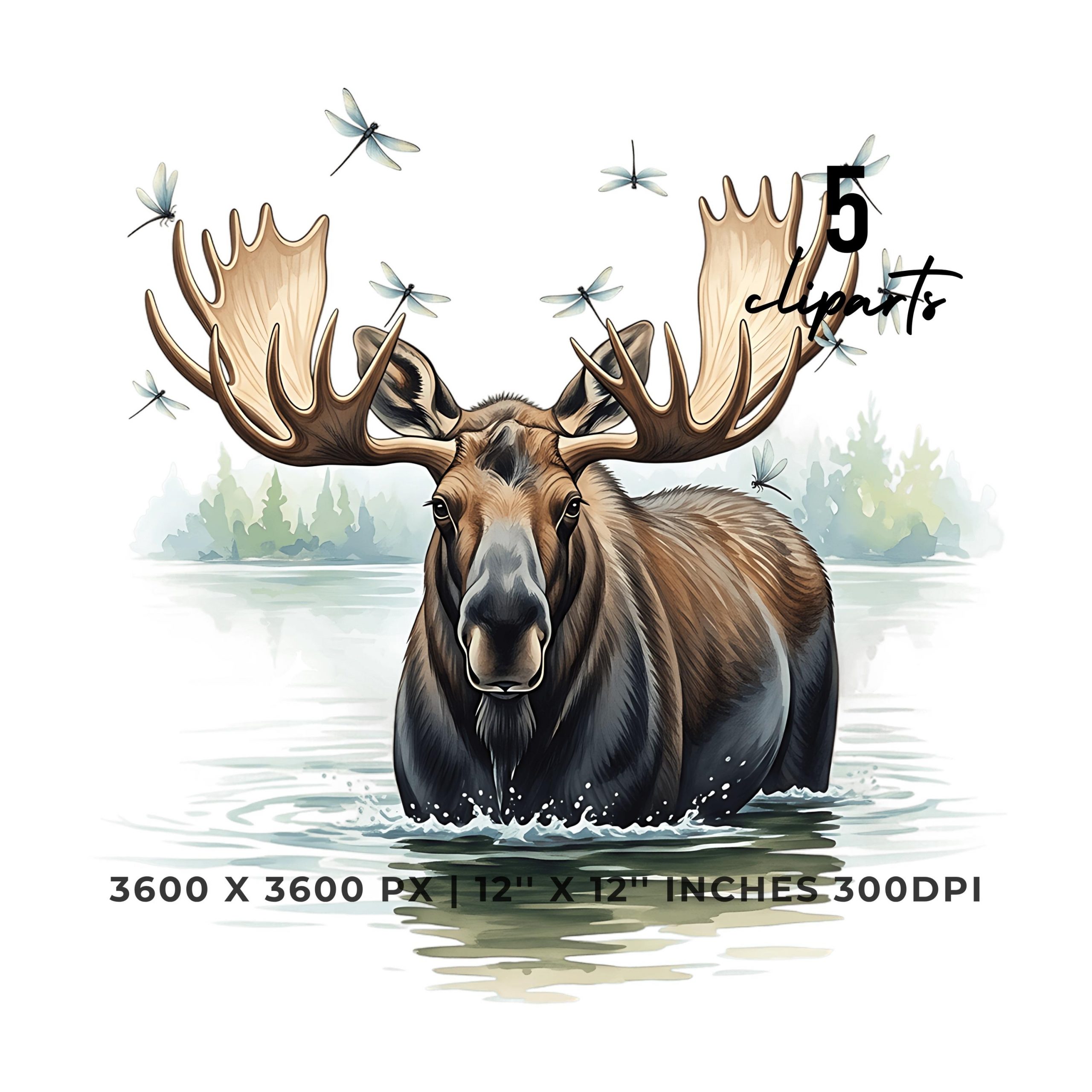Moose Clipart PNG | 5 Watercolor Moose Wading through a summer lake while dragonflies buzz around its antlers | Sublimation Commercial Use – Instant Digital Download