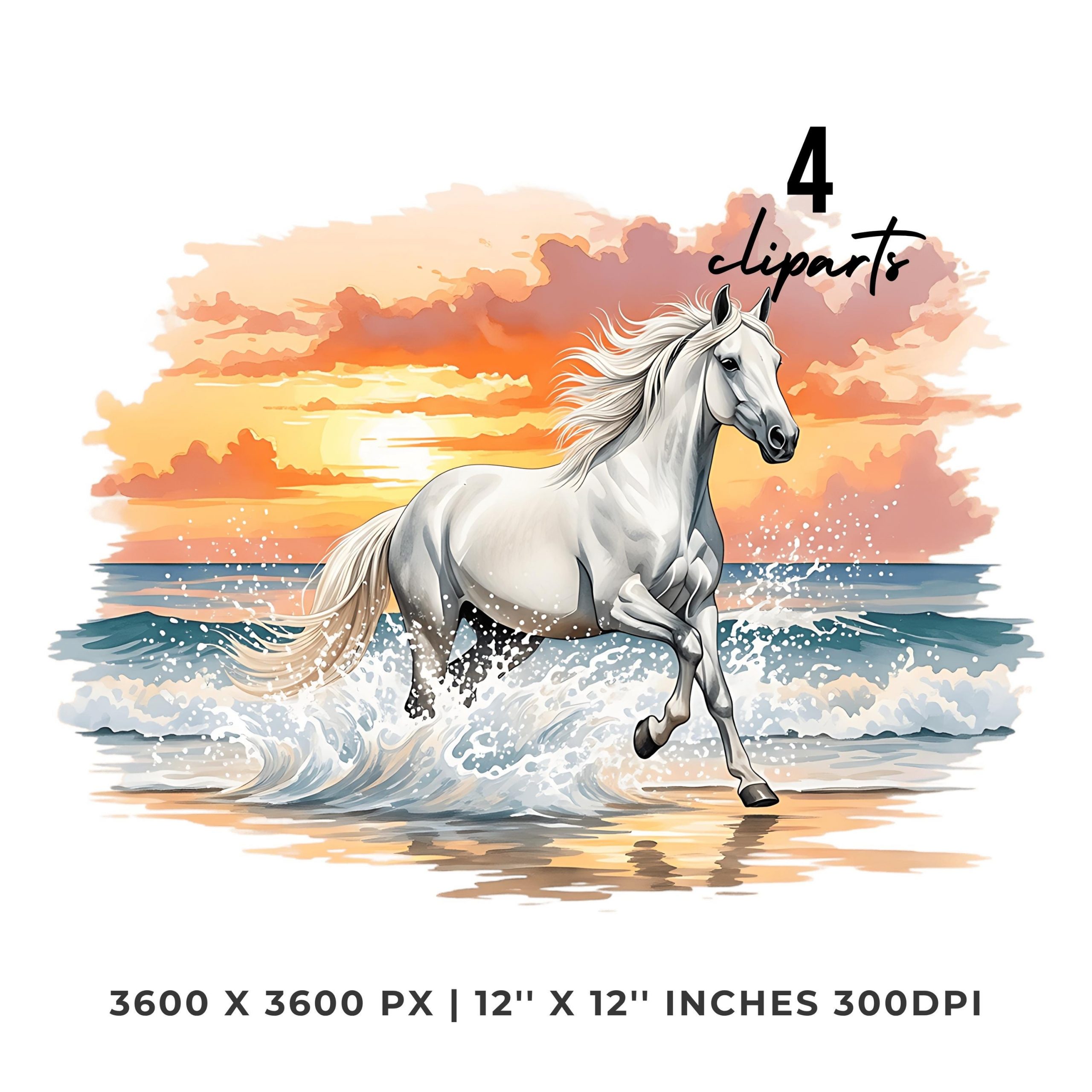 White Horse in Summer Clipart PNG | 4 Watercolor horse galloping along the shoreline at sunset, water splashing | Commercial Use – Instant Digital Download
