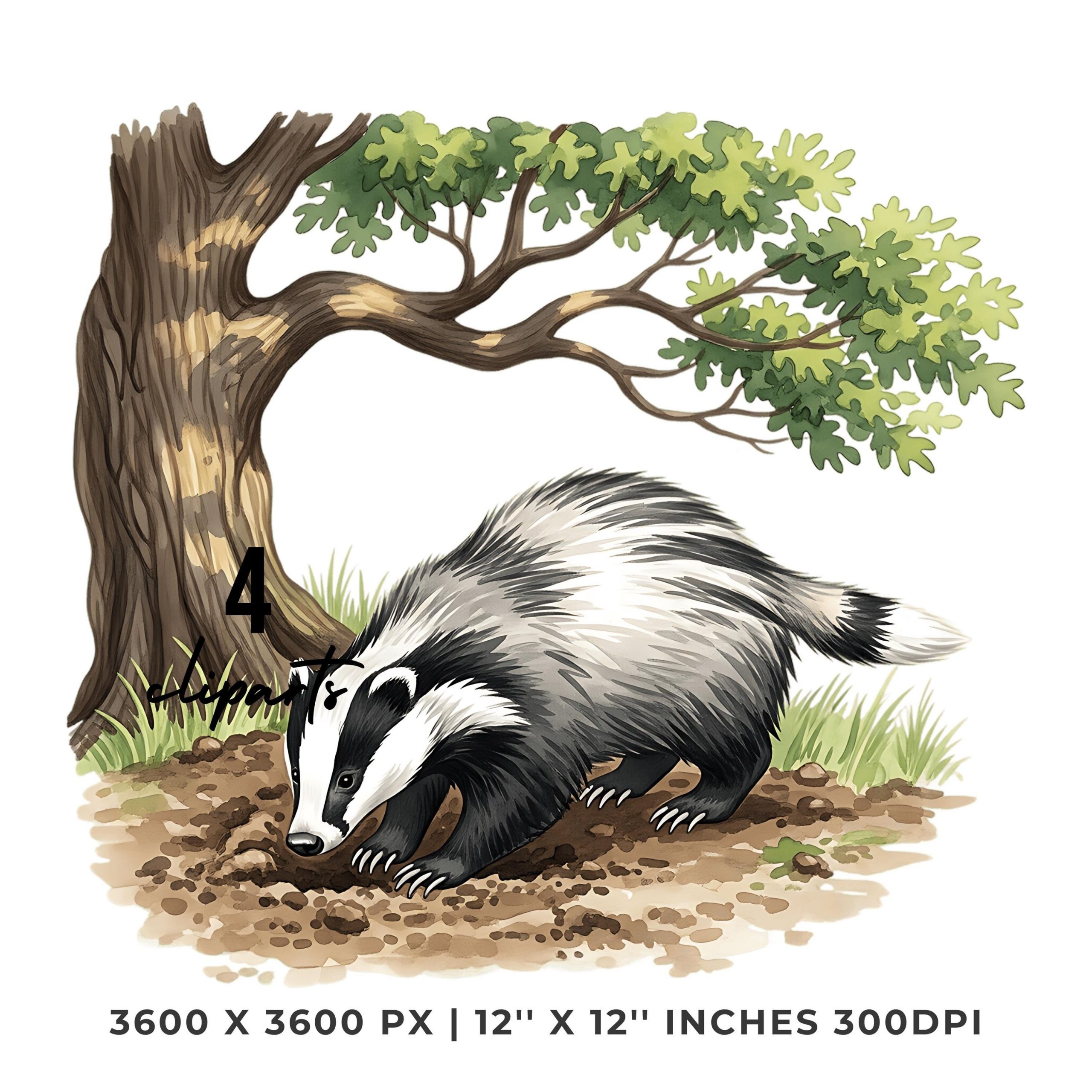 Summer Badger Clipart PNG | 4 Watercolor Badger digging a summer den in the cool earth beneath a oak tree | Sublimation Commercial Use – Instant Digital Download