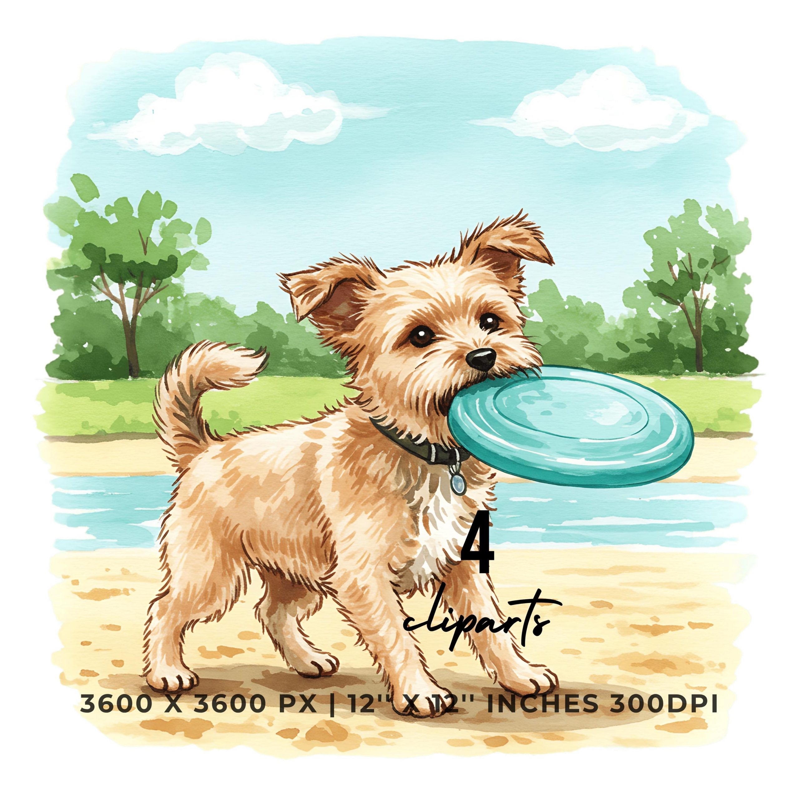 Dog Playing with Frisbee Summer Clipart | Beach Pup Art | 8 PNG & 8 JPG | Sublimation Transparent Commercial Use – Instant Digital Download