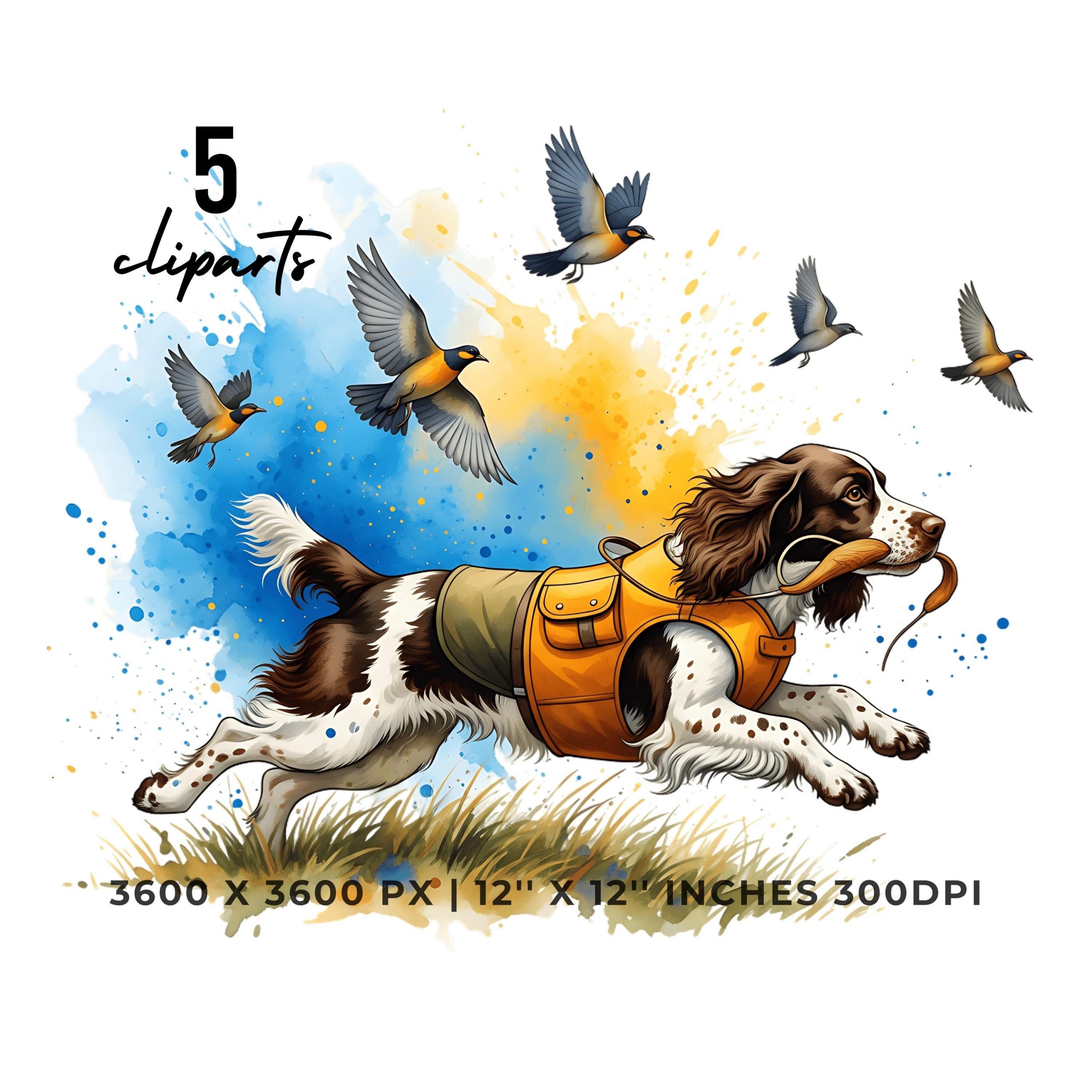 Springer Dog Hunting Clipart | Upland Game Bird Hunting Dog Illustration | 5 PNG & 5 JPG Sublimation Transparent Hi-Res Commercial Use – Instant Digital Download