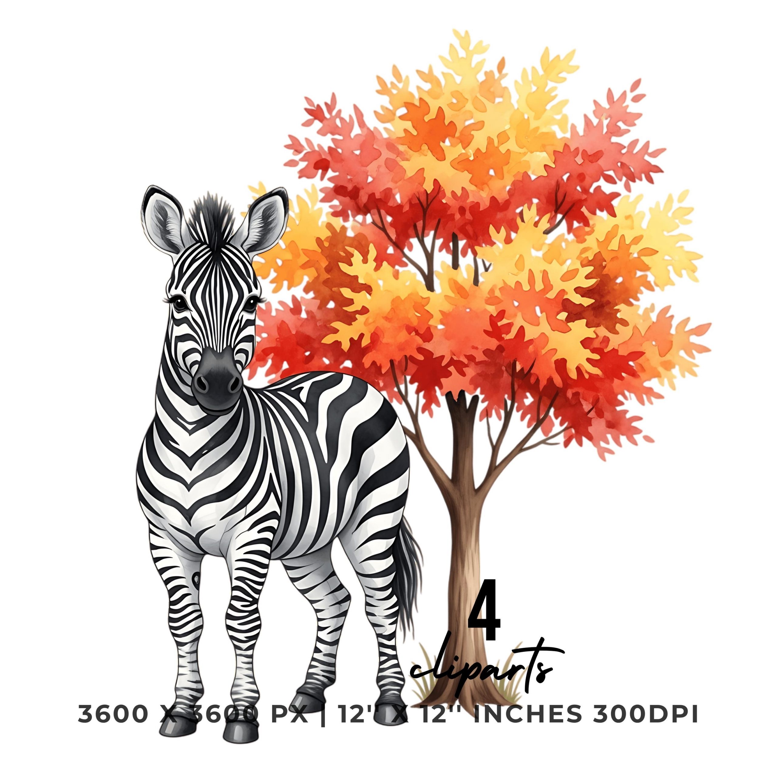 Zebra with Autumn Tree Clipart | 4 PNG & 4 JPG | Sublimation Transparent Commercial Use – Instant Digital Download