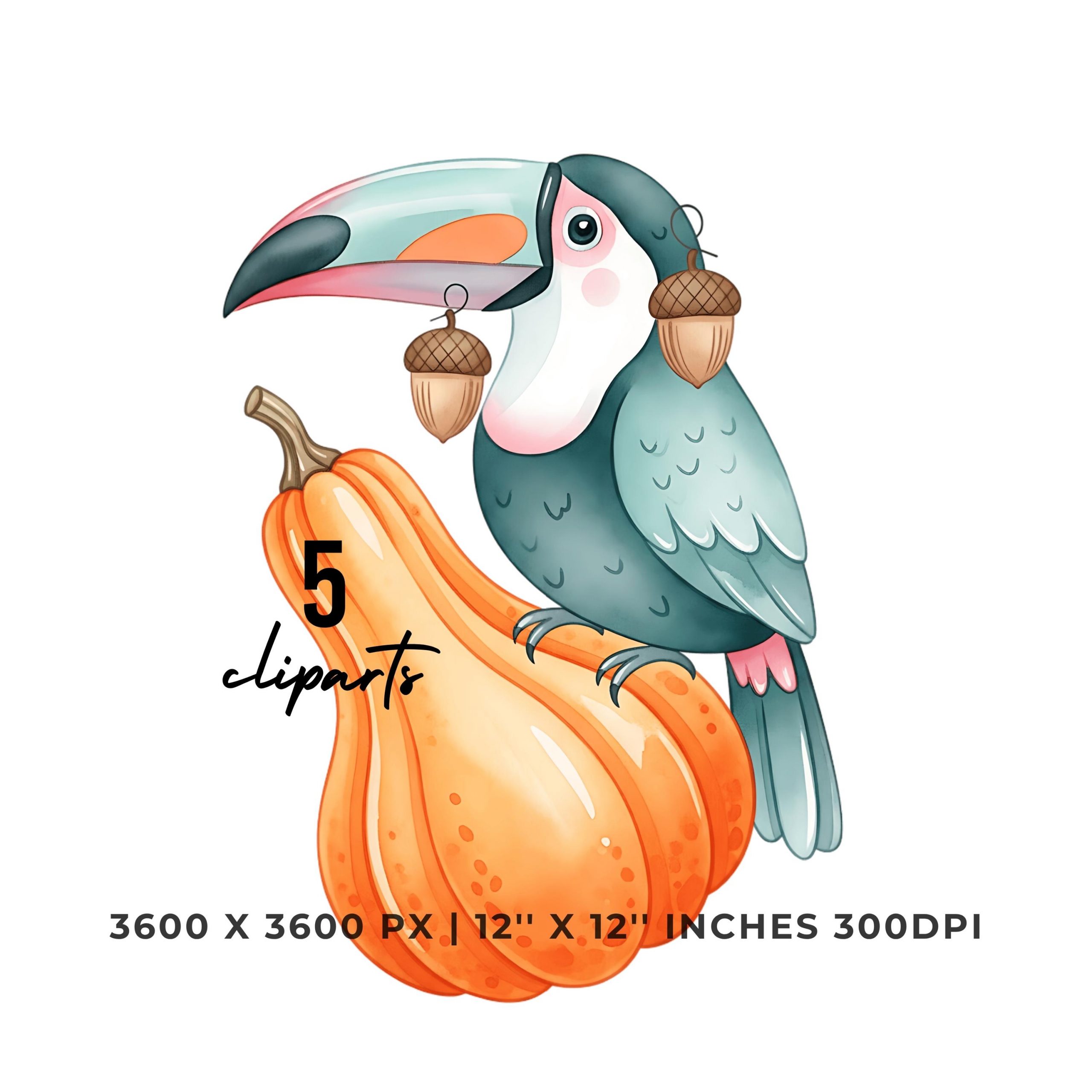 Toucan Gourd Clipart Set | 5 PNG & 5 JPG | Sublimation Transparent Commercial Use – Instant Digital Download
