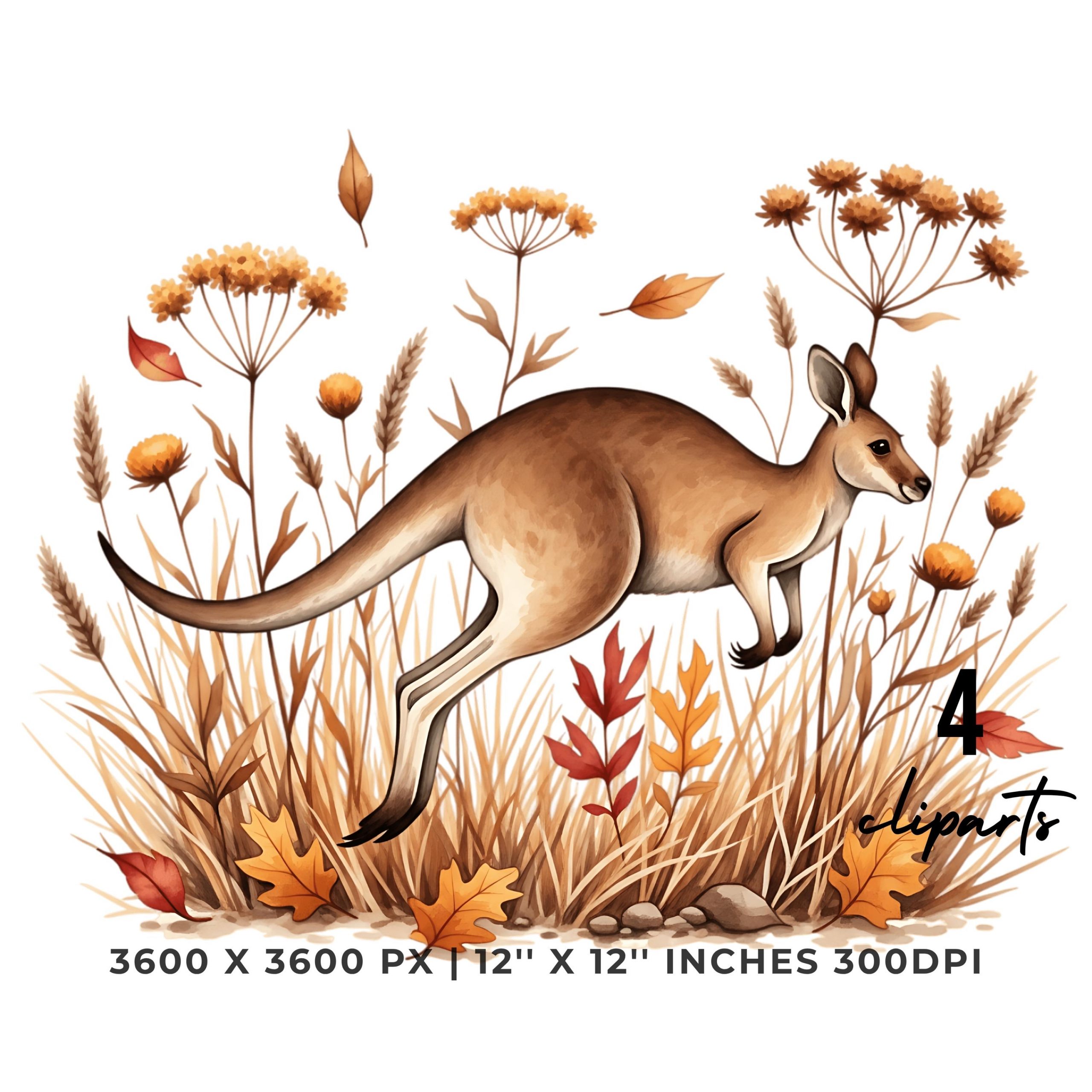 Kangaroo in Dry Field PNG Clipart | 4 PNG & 4 JPG | Sublimation Transparent Commercial Use – Instant Digital Download
