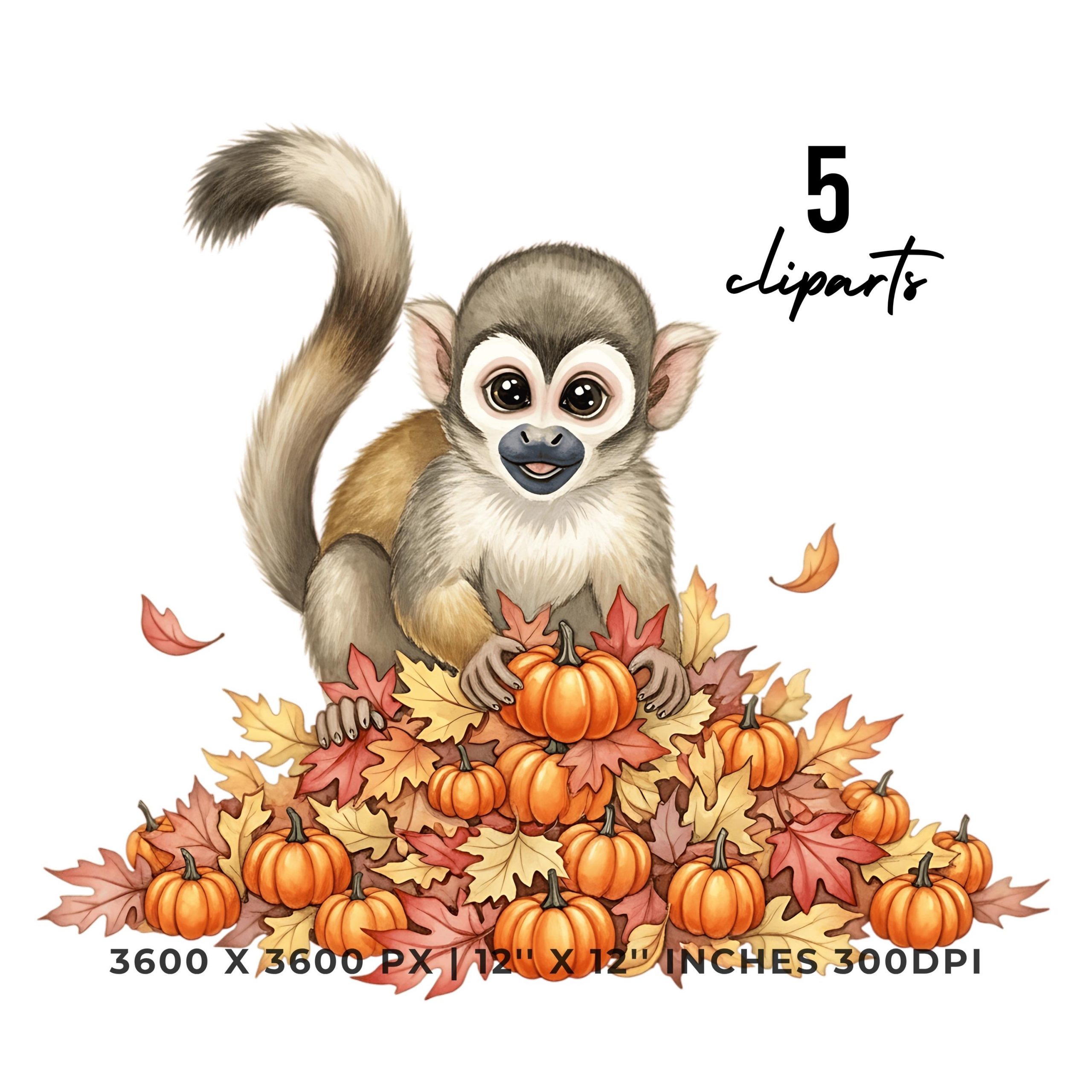 Monkey in Leaves with Pumpkins Fall Clipart | 12″x12″ 300DPI | 5 PNG & 5 JPG | Sublimation Commercial Use – Instant Digital Download