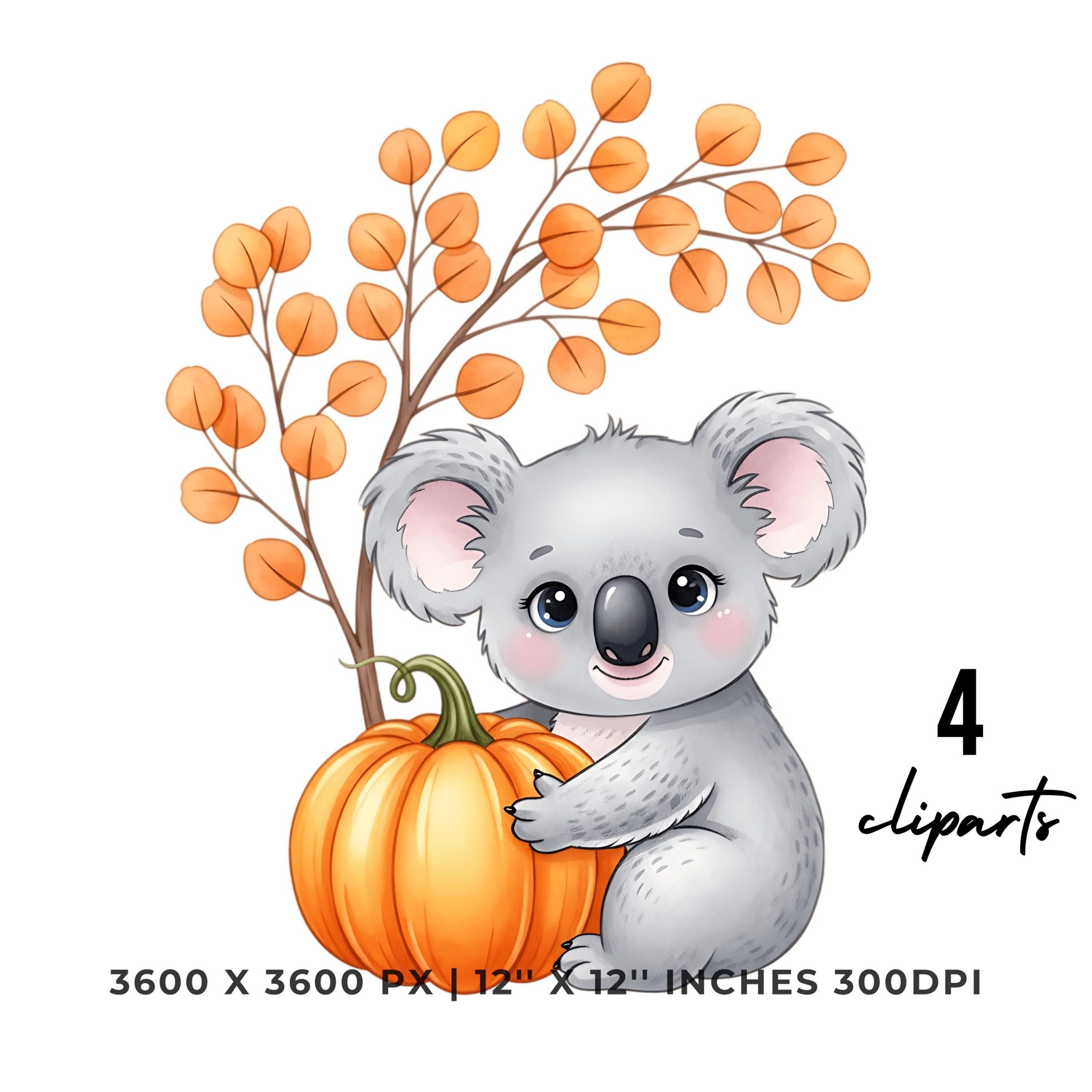 Koala Hugging Pumpkin Eucalyptus Fall Clipart | 4 PNG & 4 JPG | Sublimation Transparent Commercial Use – Instant Digital Download