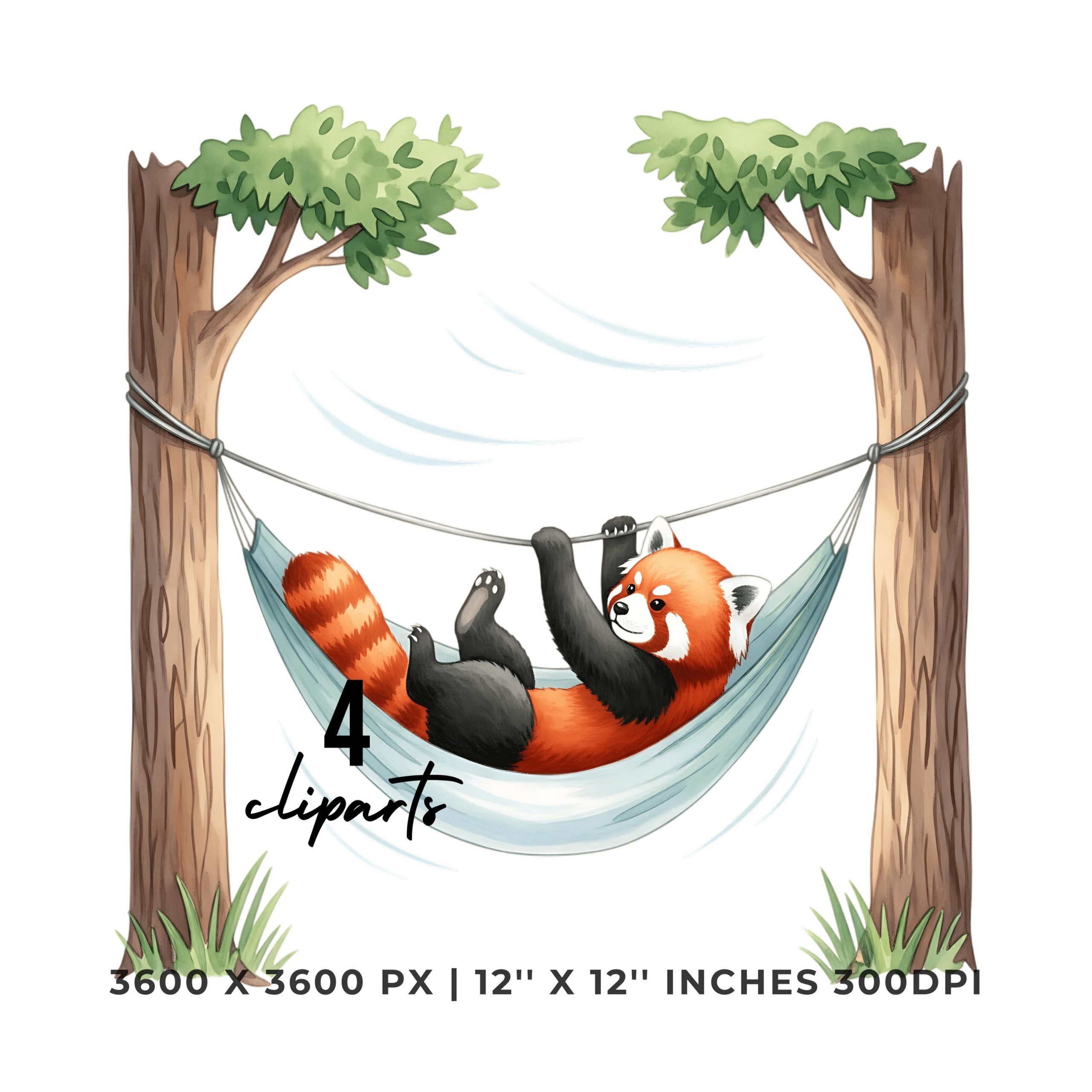 Red Panda Clipart PNG | 5 Watercolor Red Panda playing in a hammock tied between two trees | Sublimation Transparent Commercial Use – Instant Digital Download