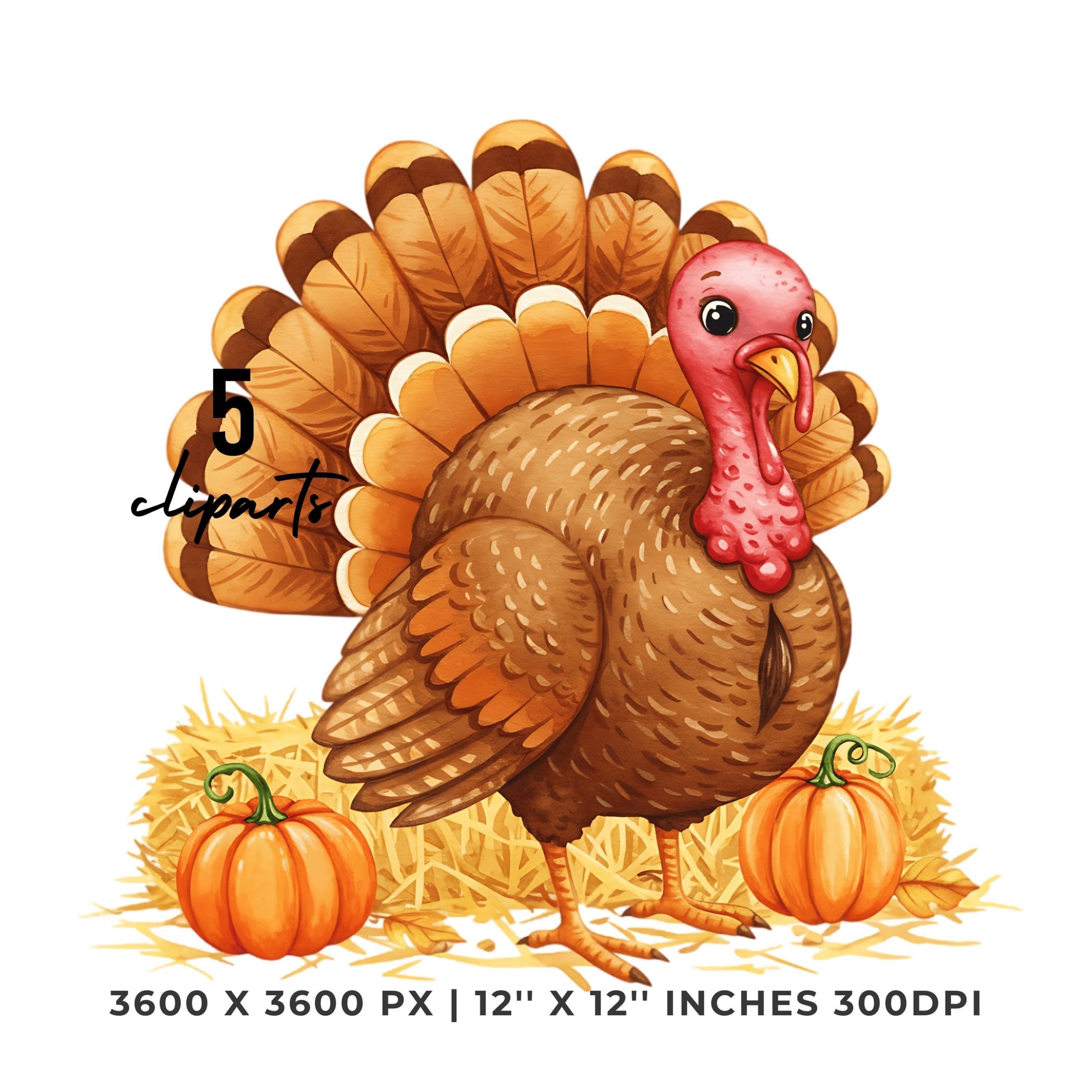 Turkey Clipart Bundle | Fall Thanksgiving | Pumpkin Haystack Animal Art | 5 PNG – 5 JPG Sublimation Commercial Use – Instant Digital Download